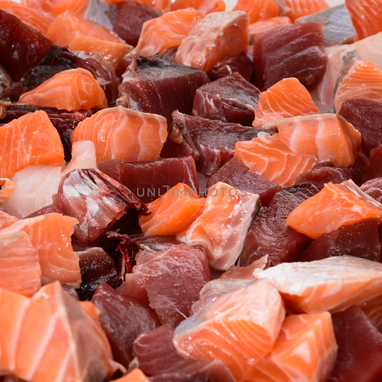 Salmon and Tuna by Robertobinetti70