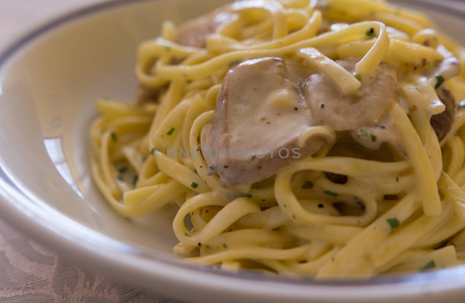 Close-up Italian pasta "Tagliolini" with mushrooms  Porcini,cream and herbs.