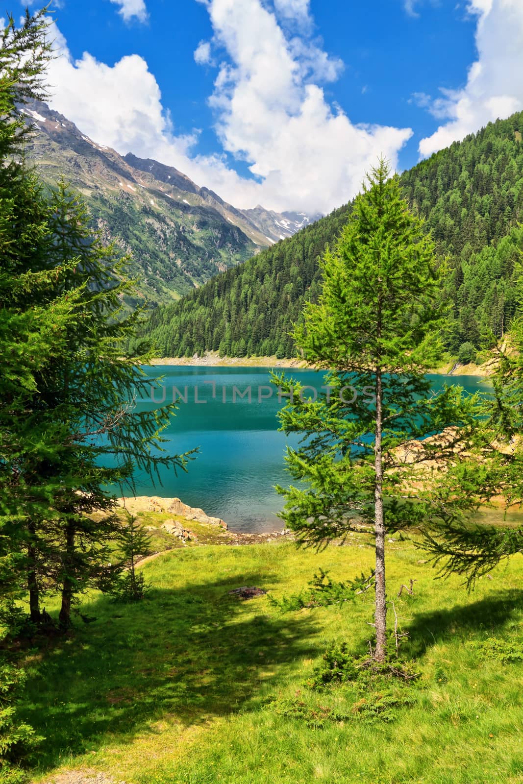 summer view of Pian Palu' lake in Pejo Valley, Trentino, Italy