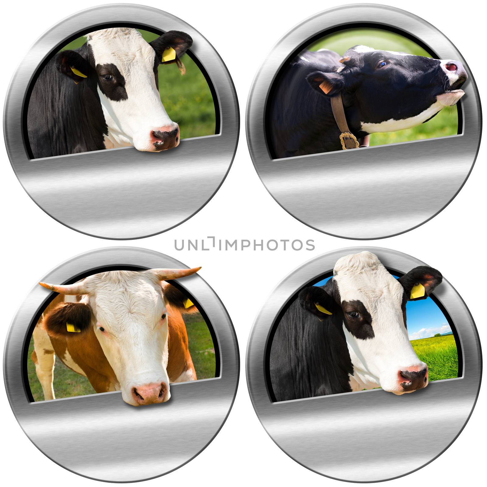 Round Symbols with Heads of Cows by catalby