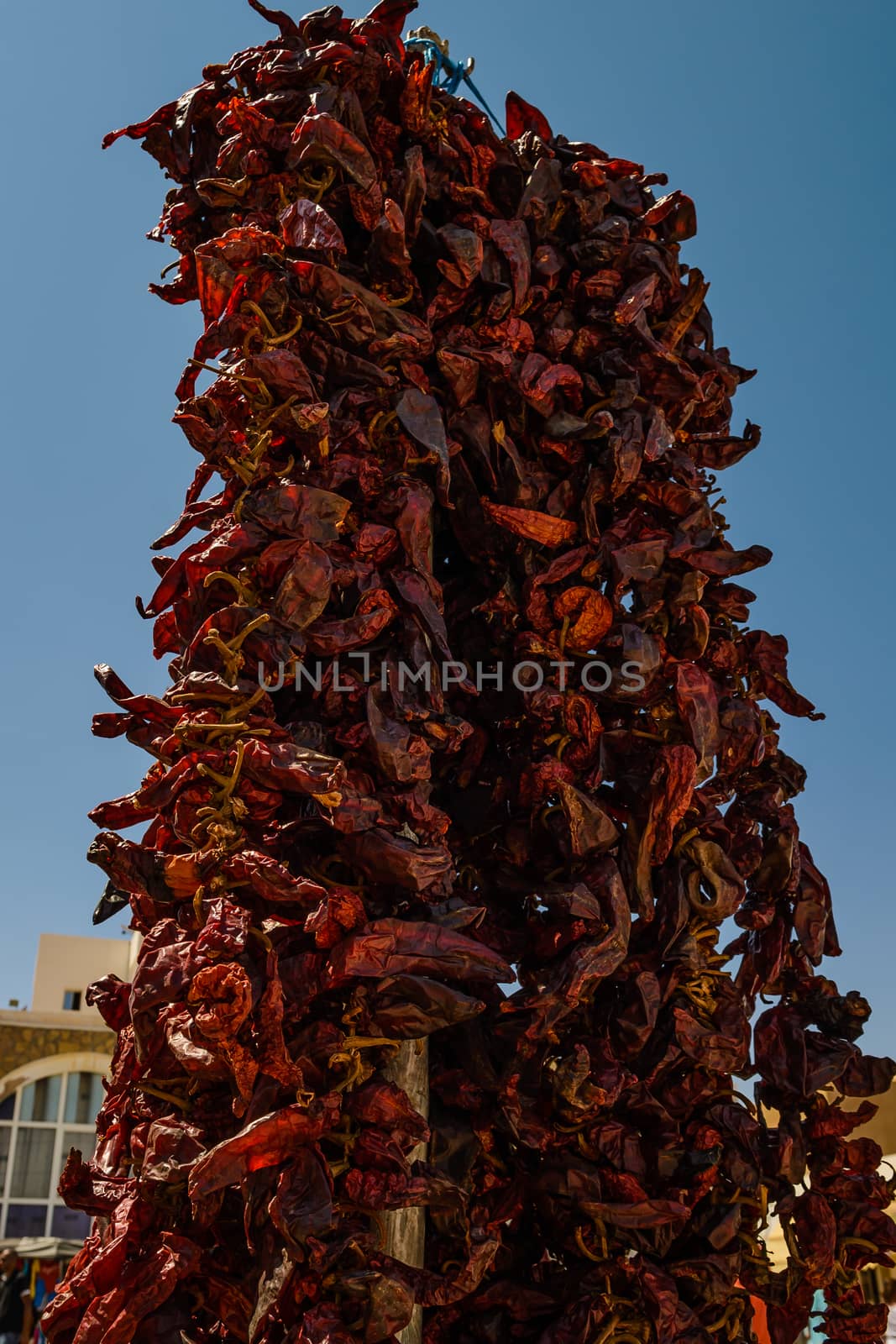 A pile of dried chillies hanging from a wooden pole in Tunisia .