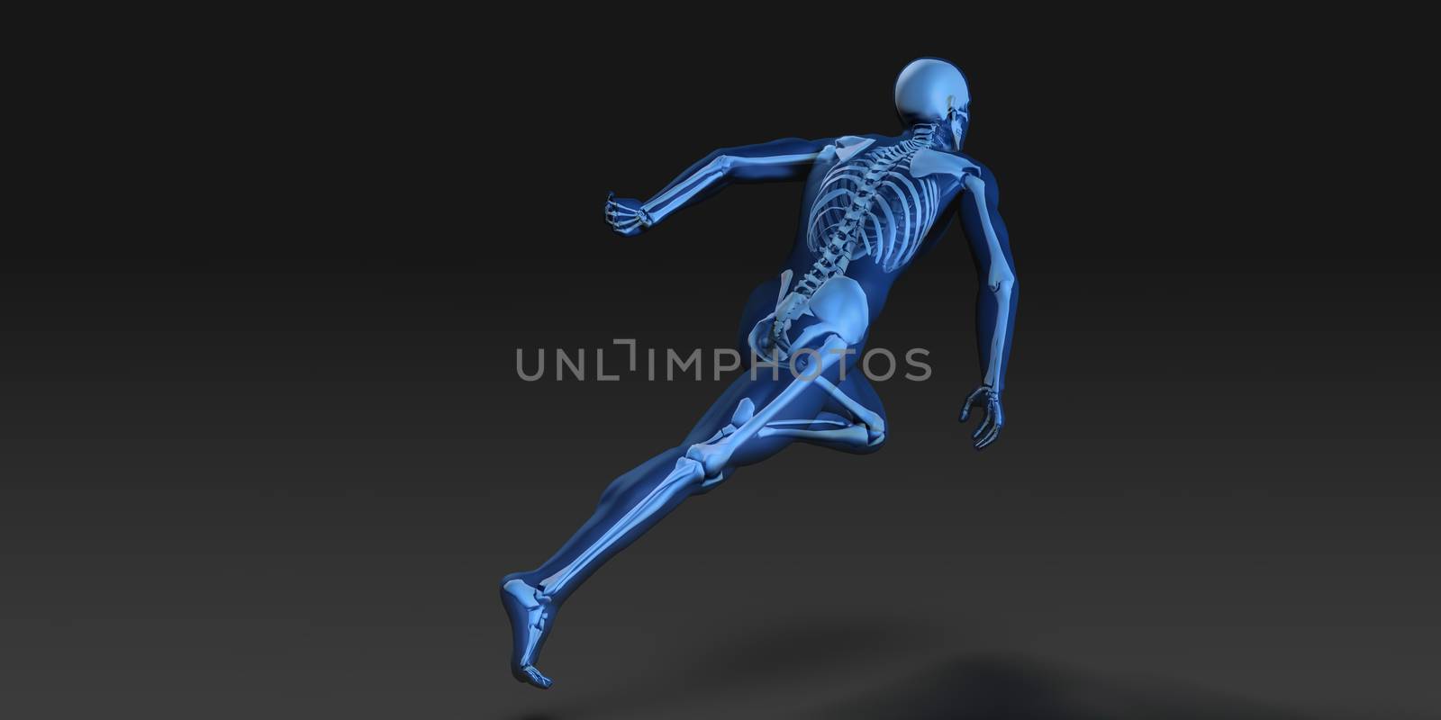 3D Concept of Human Male Body and Skeleton Running