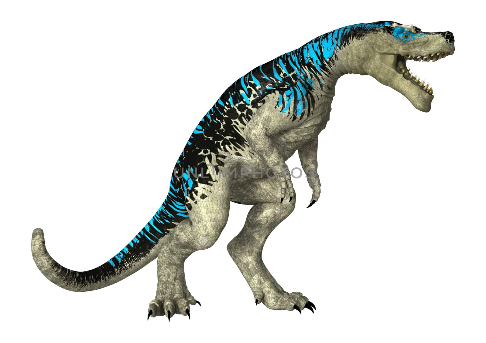3D digital render of a dinosaur Tyrannosaurus Rex  isolated on white background