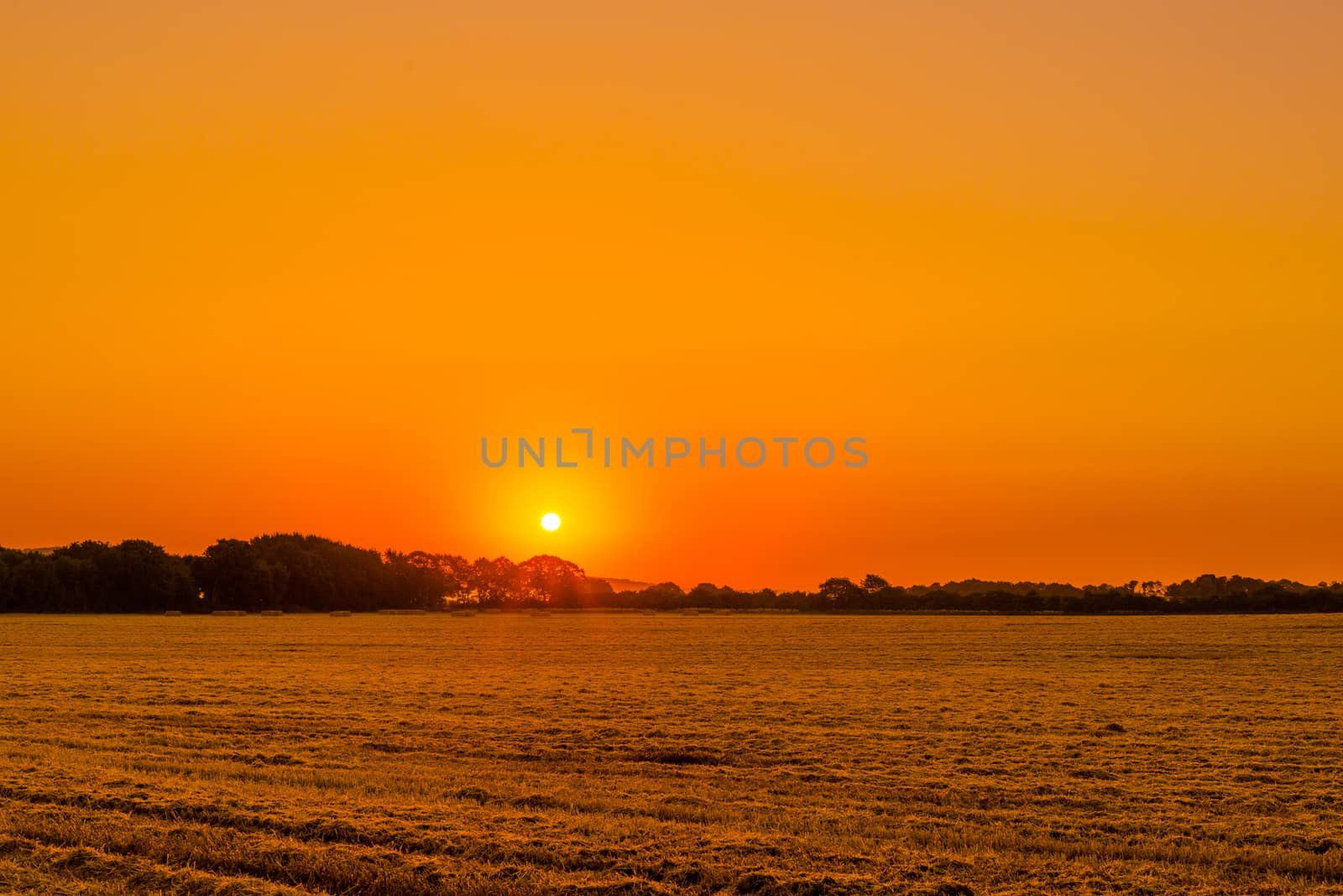 Field landscape in the morning with a sunrise