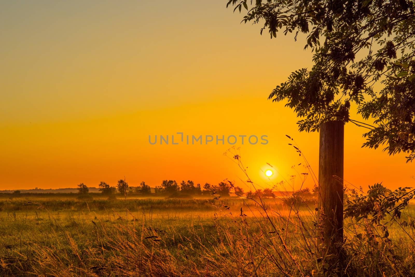 Sunrise over a misty field in the late summer