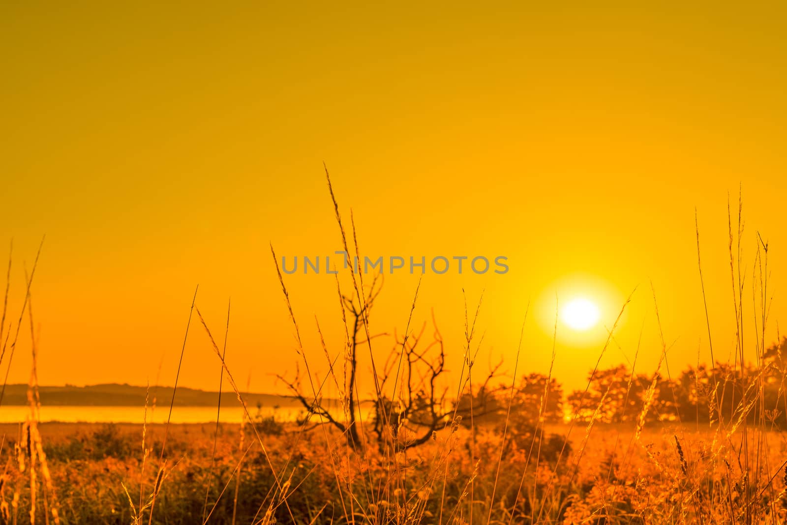 Sunrise in a countryside scenery in the morning
