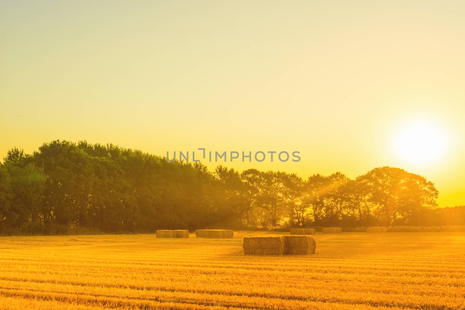 Countryside landscape with straw bales in the summer