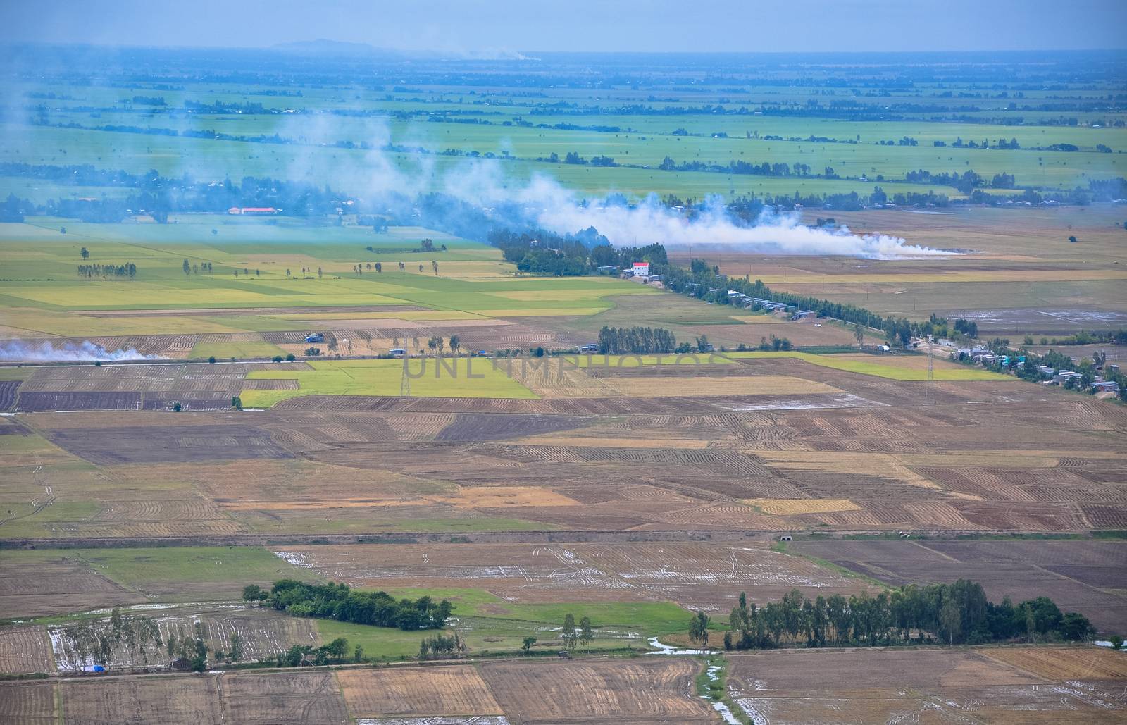 Aerial view of paddy rice fields in Mekong Delta by vietimages