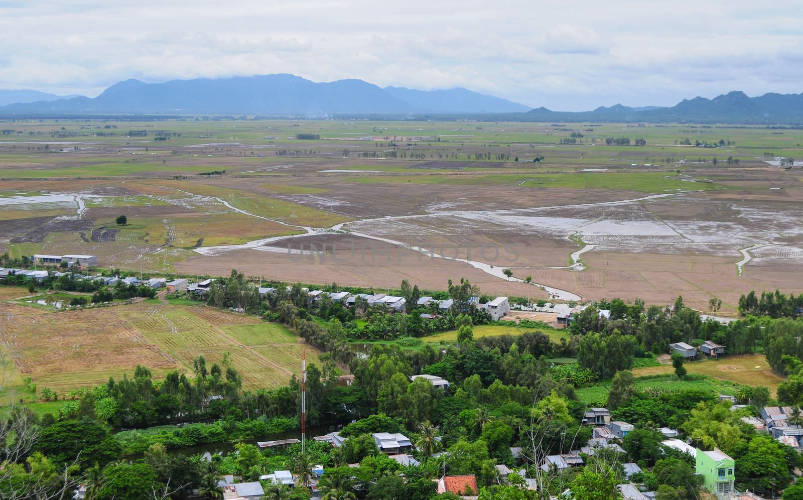 Aerial view of paddy rice fields in Mekong Delta by vietimages