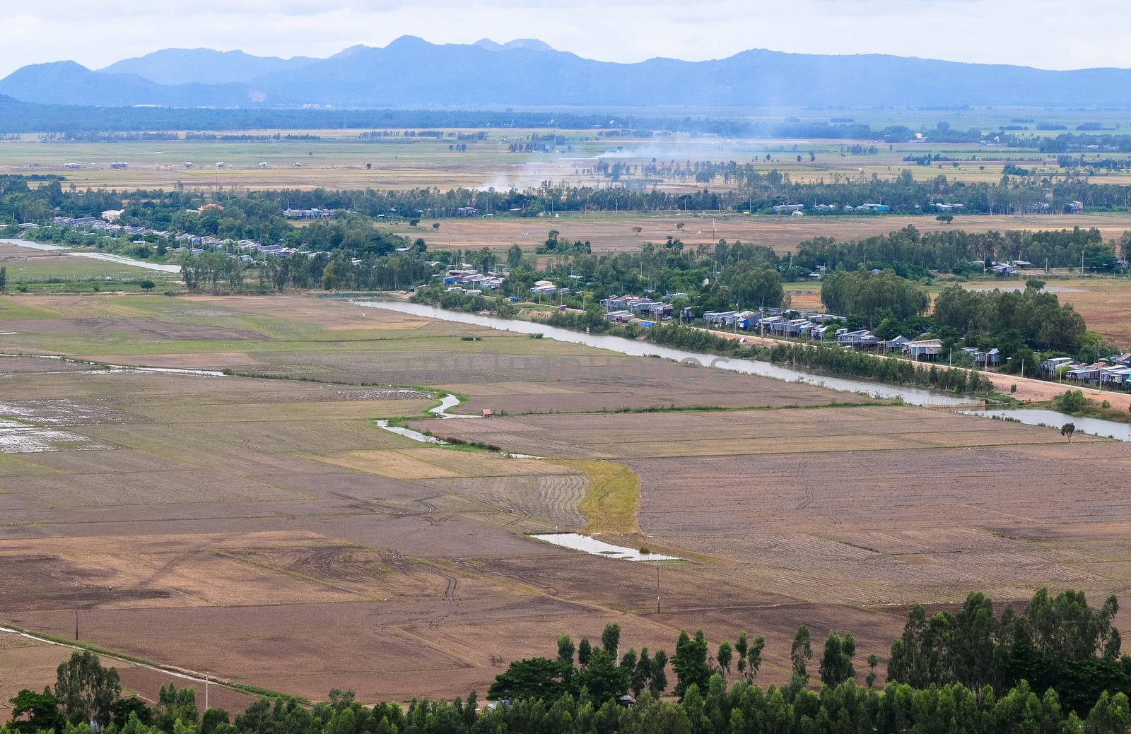 Aerial view of paddy rice fields in Mekong Delta Zone, Southern Vietnam.