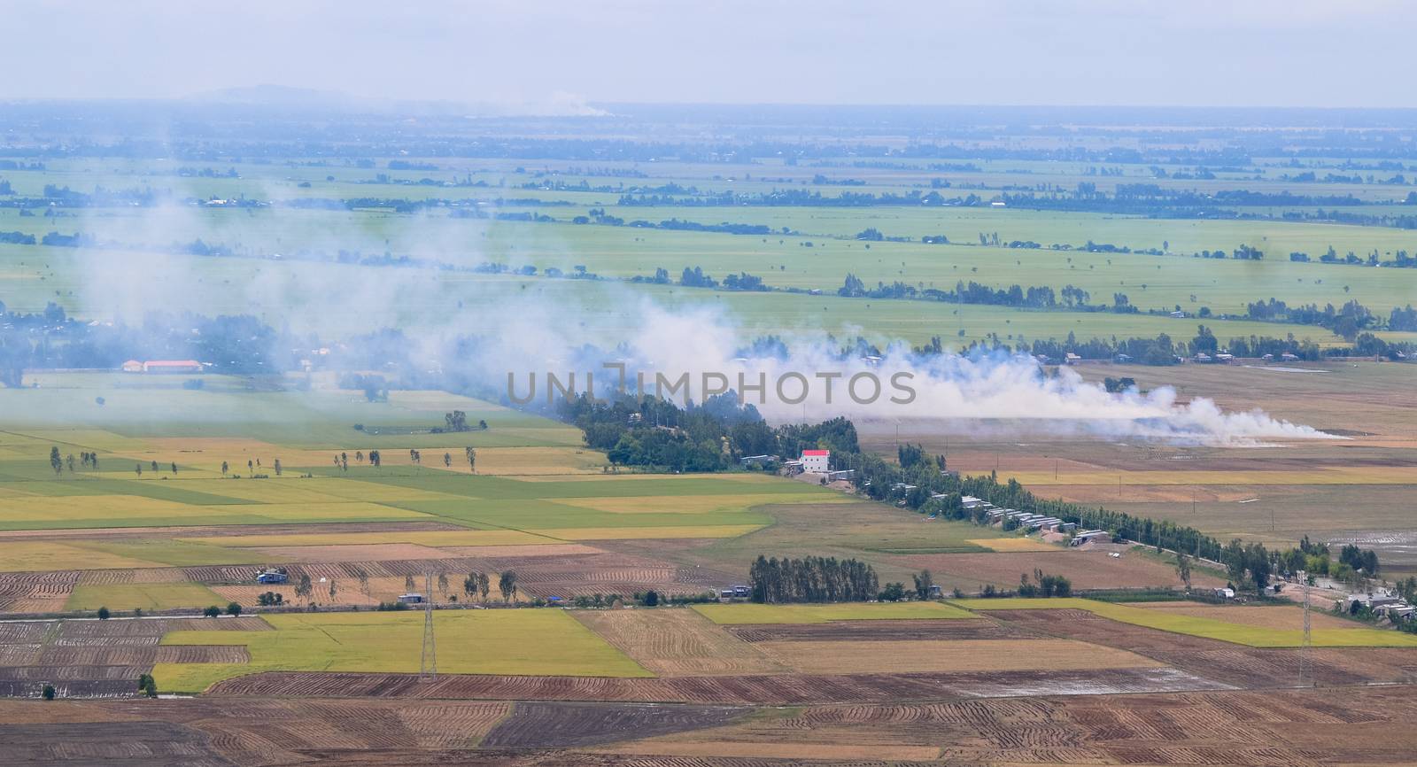 Aerial view of paddy rice fields in Mekong Delta Zone, Southern Vietnam.