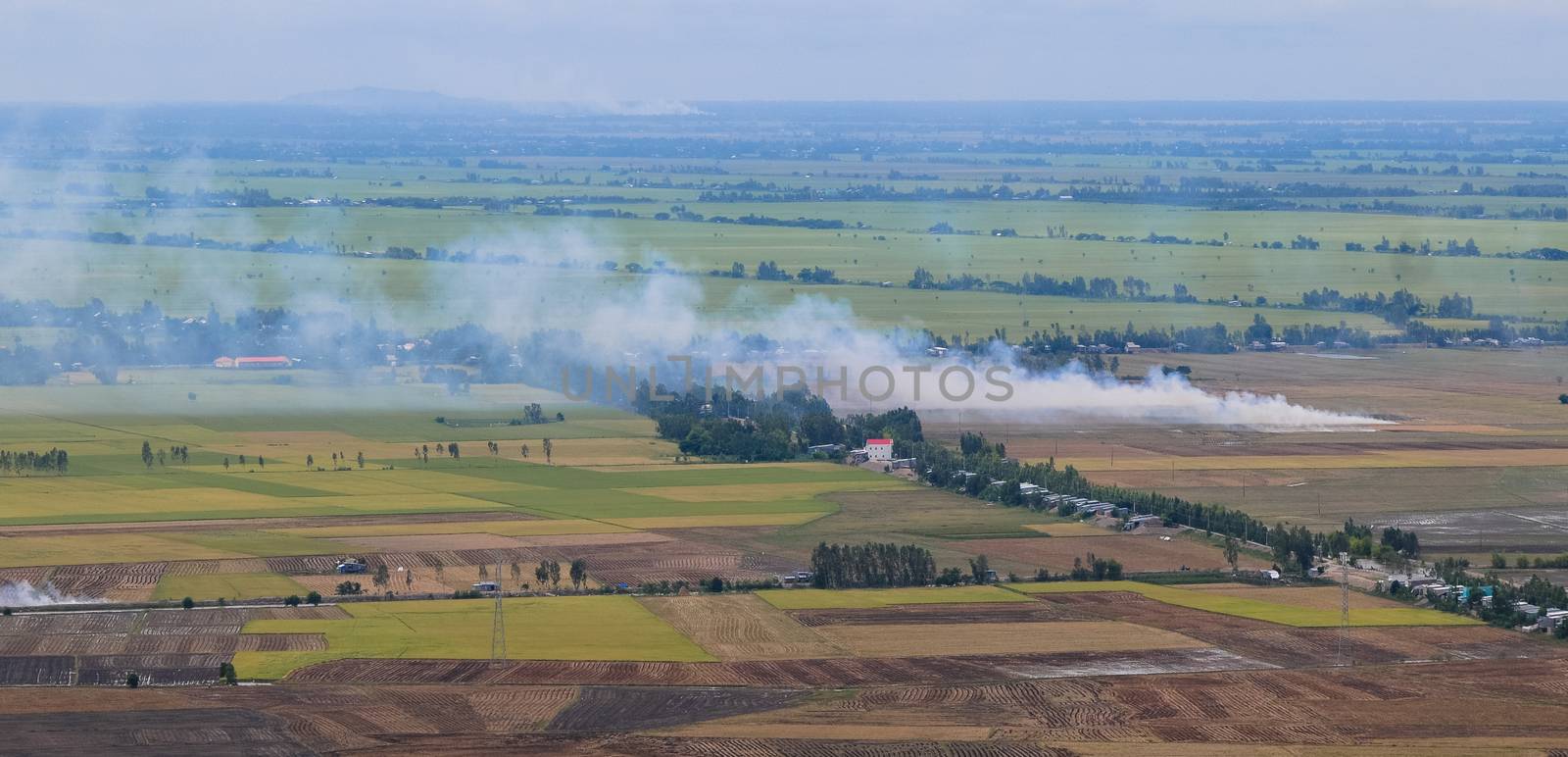 Aerial view of paddy rice fields in Mekong Delta Zone, Southern Vietnam.