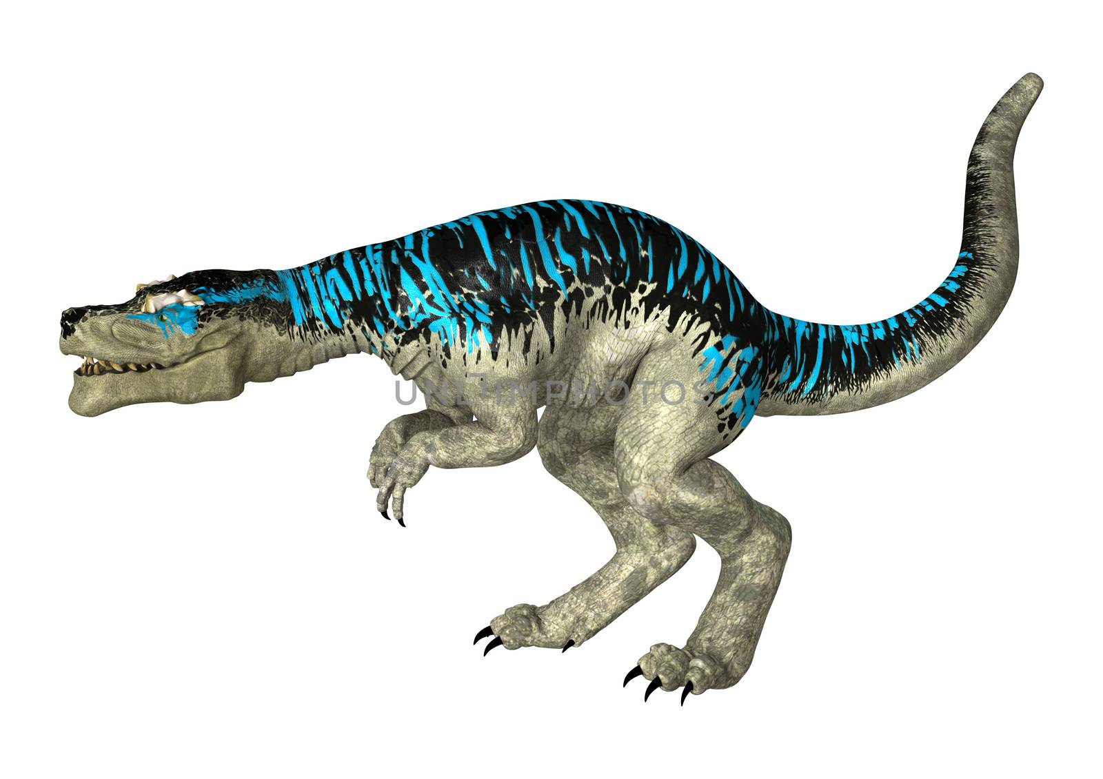 3D digital render of a dinosaur Tyrannosaurus Rex  isolated on white background