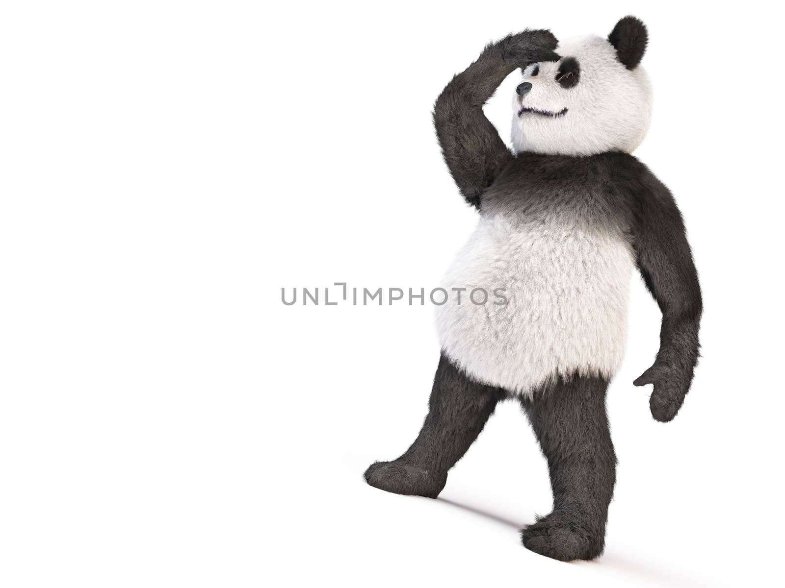 chineese cheerful character panda fluffy teddy by xtate