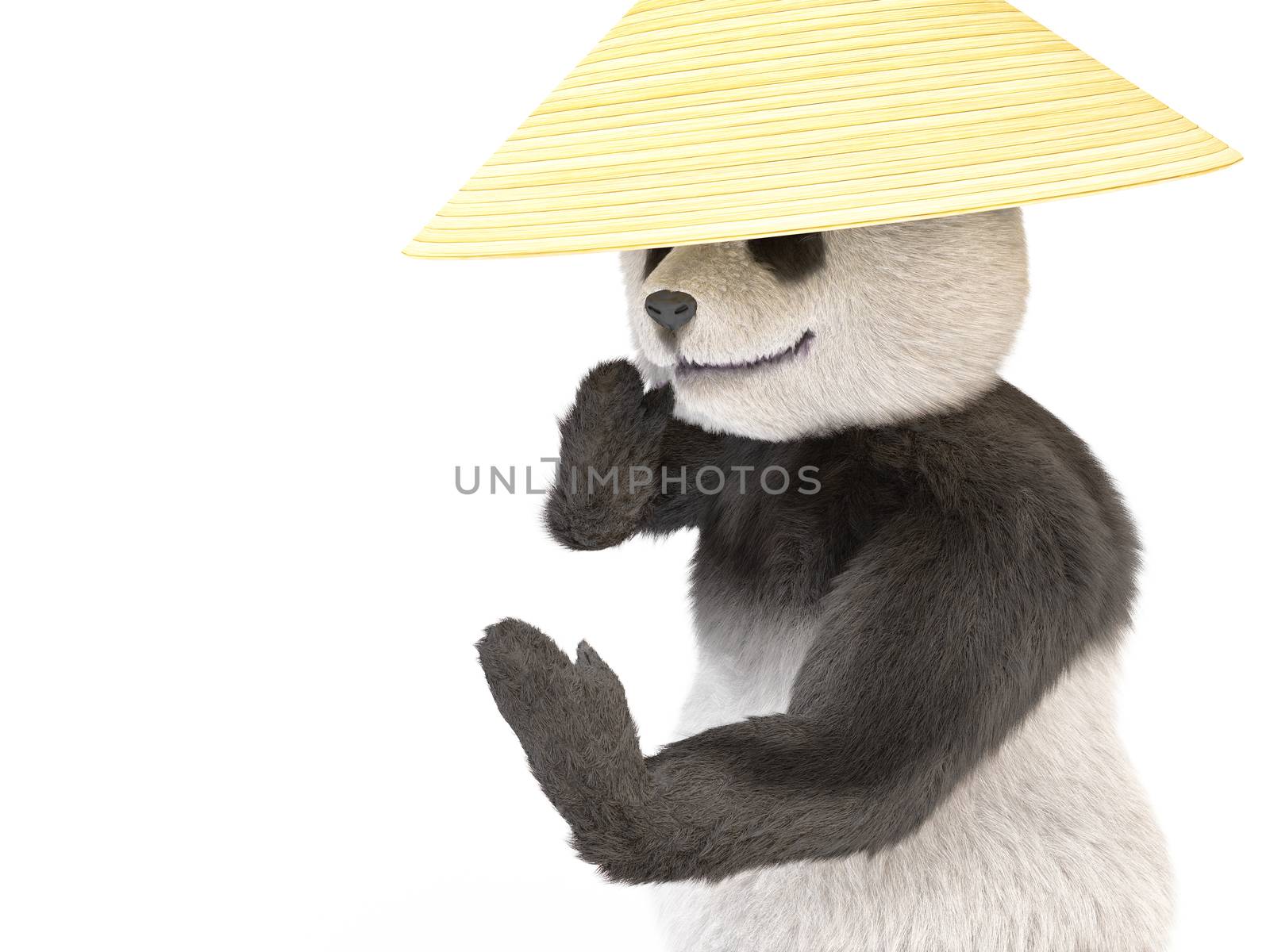 wild aggressive kung fu panda asian straw hat standing bellicose posture with his hands up. animal engaged Chinese martial arts in hat collector rice. Illustration about cute dangerous fuzzy bear