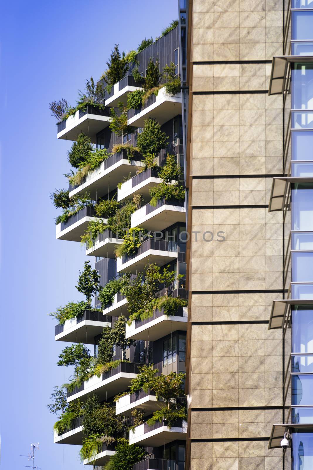 MILAN, ITALY, August 30, 2015: Skyscraper Vertical Forest. The special feature of this building is the presence of more than 900 tree species.