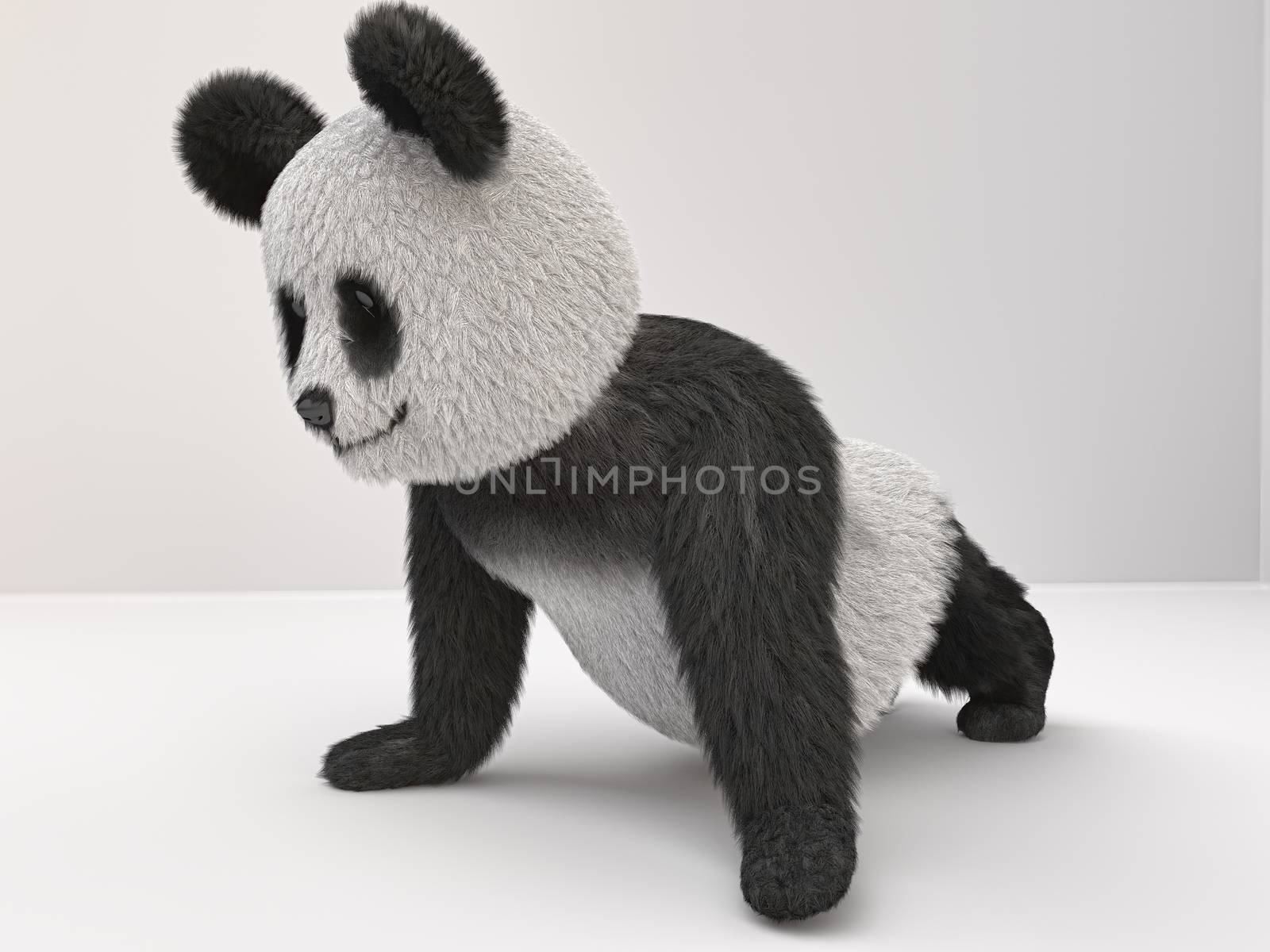 fluffy three-dimensional panda engaged pushups