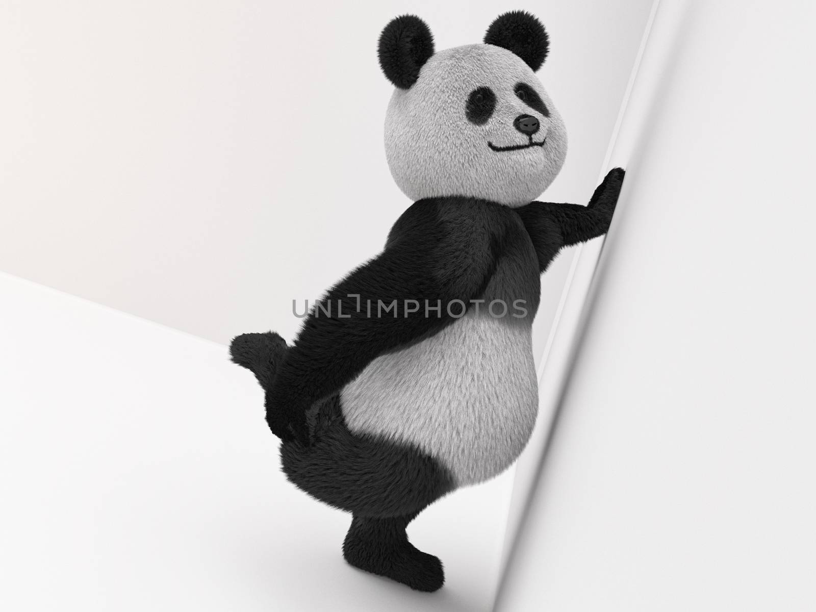 Panda standing against the wall and makes the right leg workout