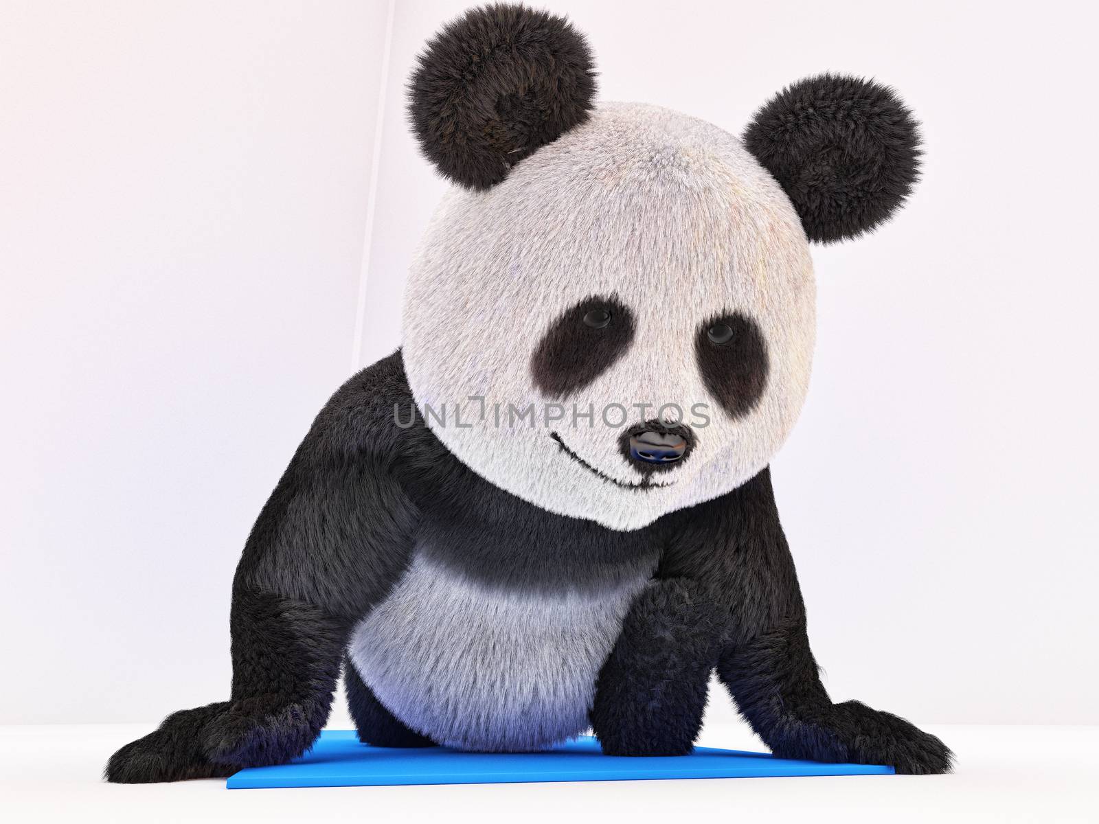 panda sitting on a blue mat and doing twine stretching