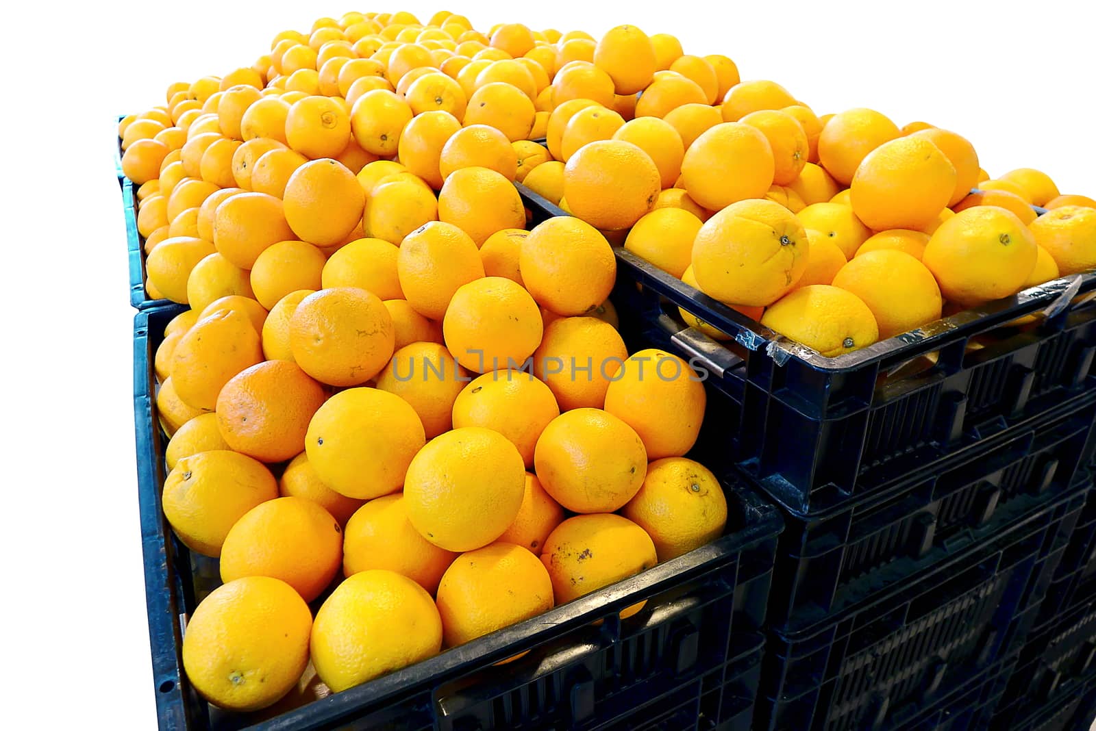 Navel Orange, Group of Friut isolated white background