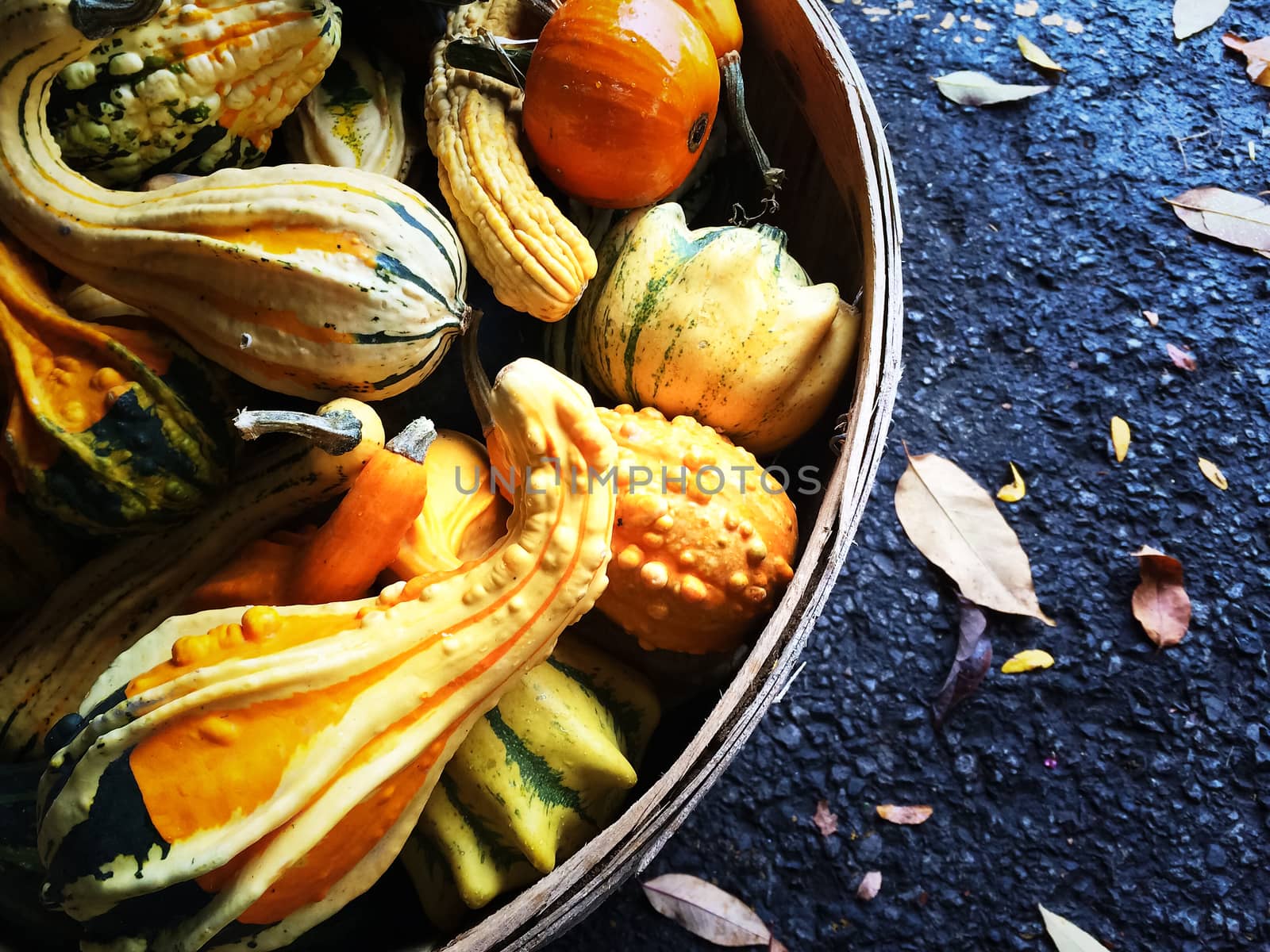 Colorful gourds in a basket by anikasalsera