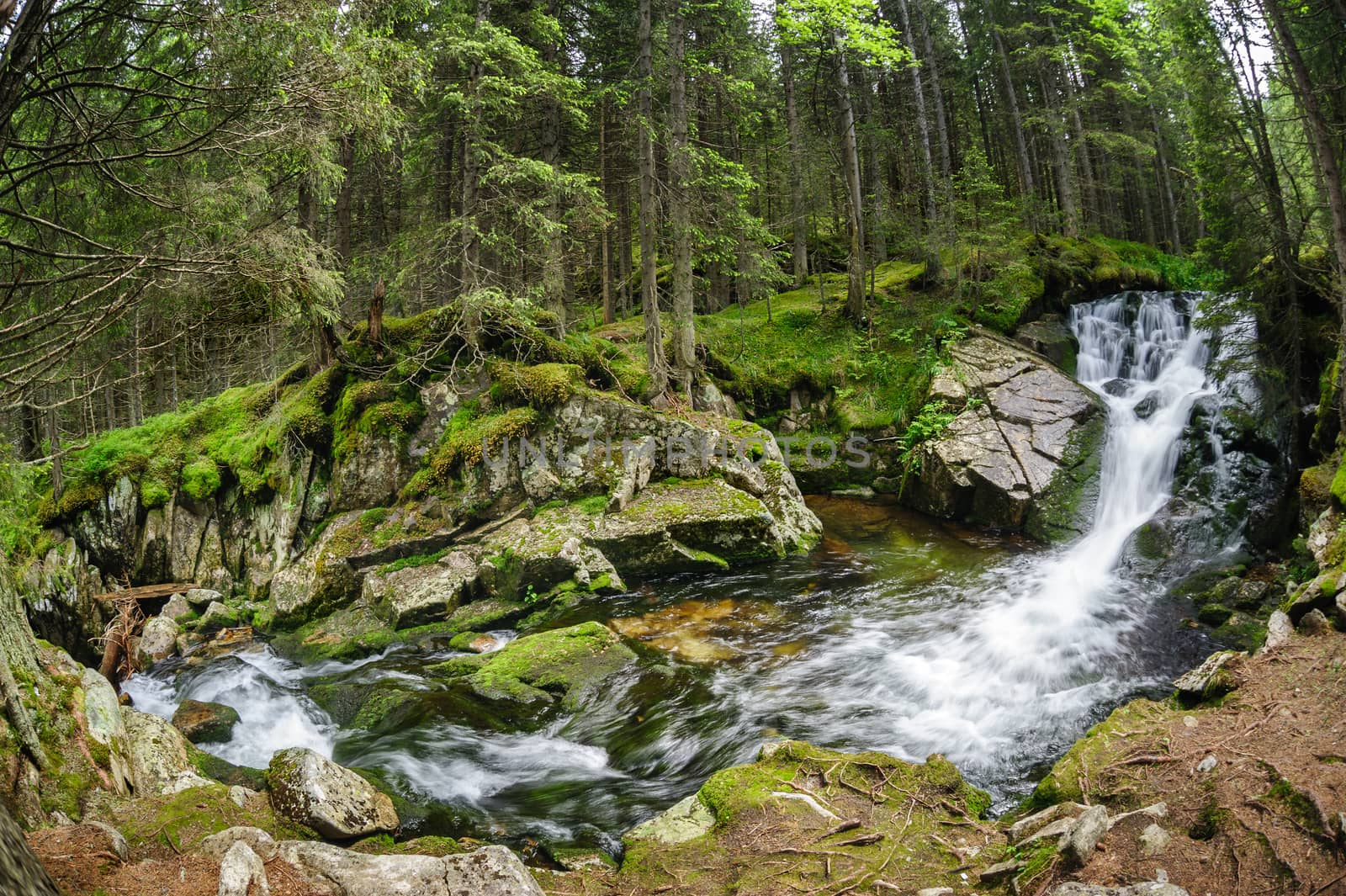 Waterfall in deep forest at mountains, Retezat national park, Romania. Made using fisheye lens.