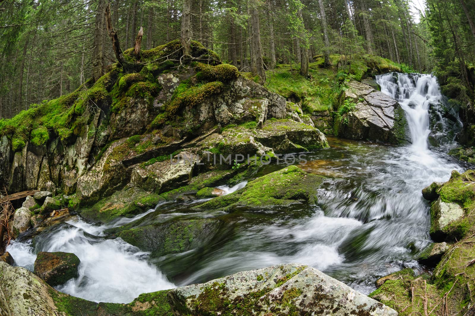 Waterfall in deep forest at mountains, Retezat national park, Romania. Made using fisheye lens.