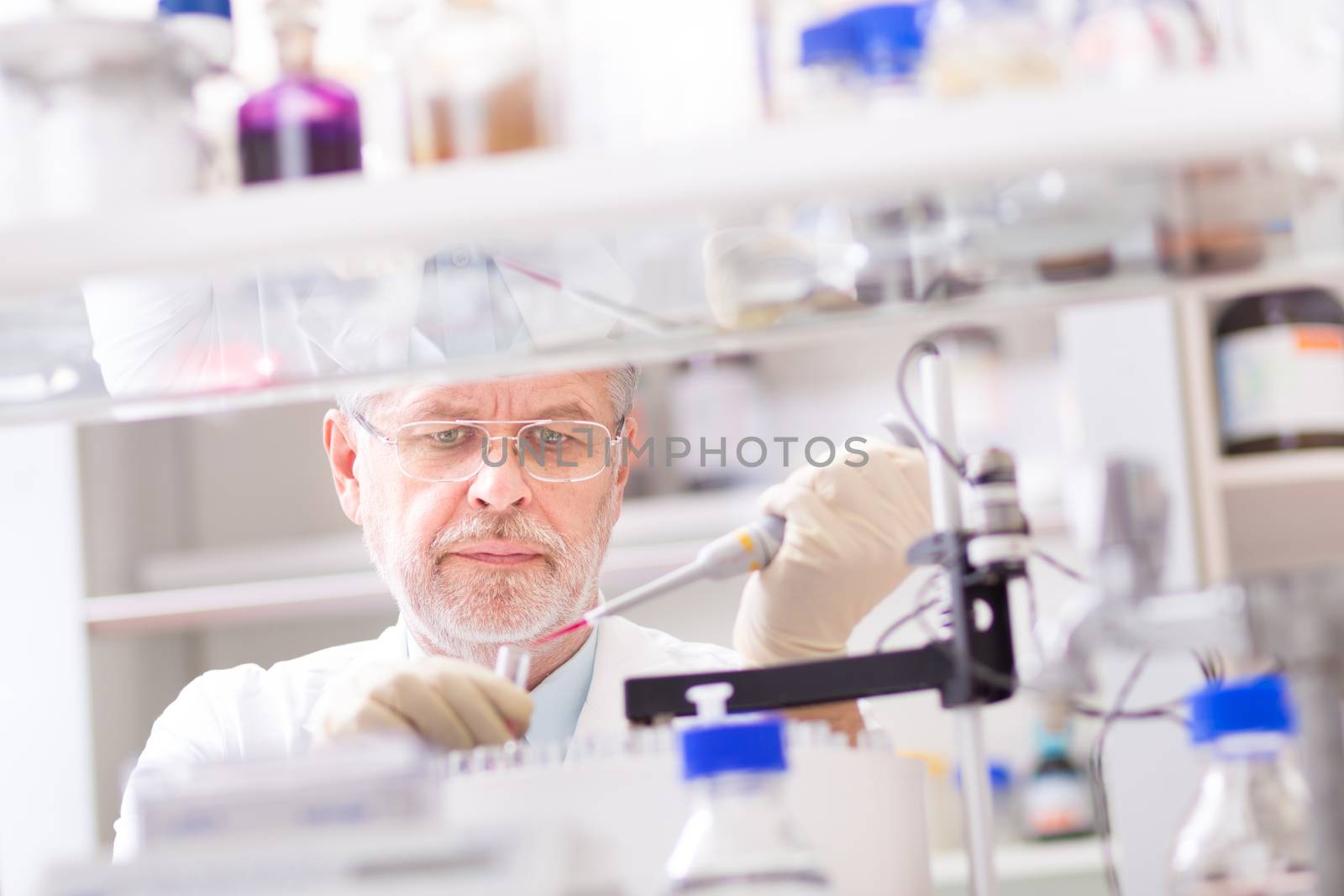 Life scientist researching in laboratory. Life sciences study living organisms on the level of microorganisms, viruses, human, animal and plant cells, genes, DNA...