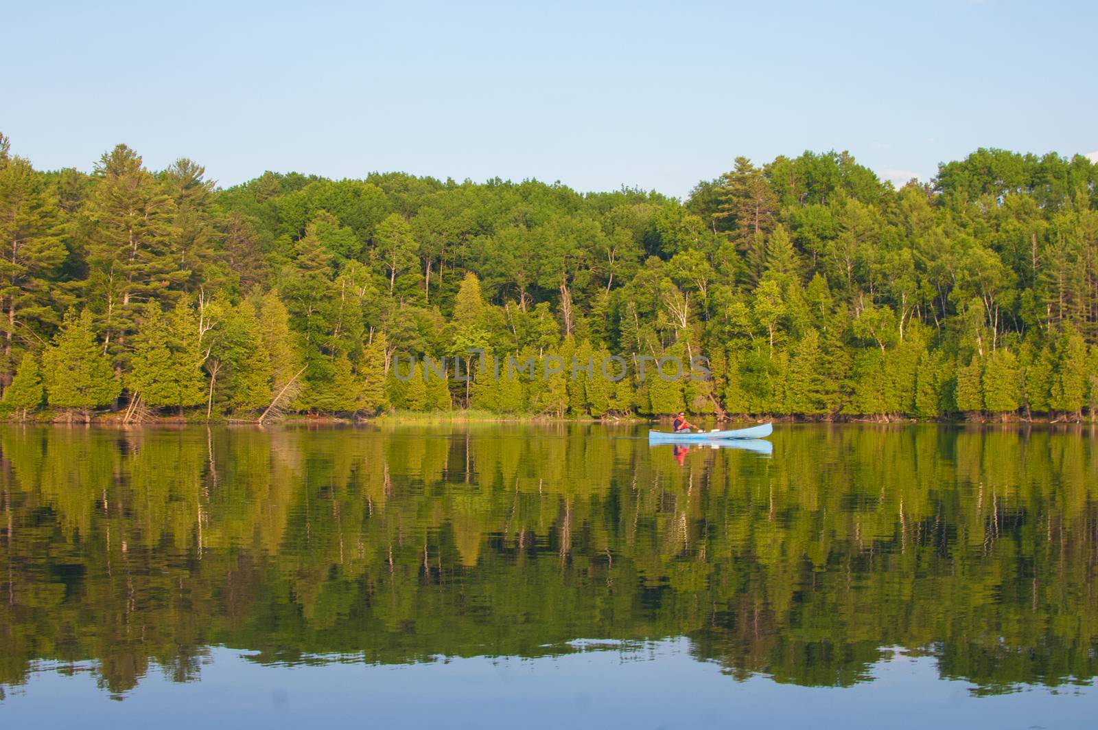 Man paddling a canoe on a lake in the summer in Ontario, Canada