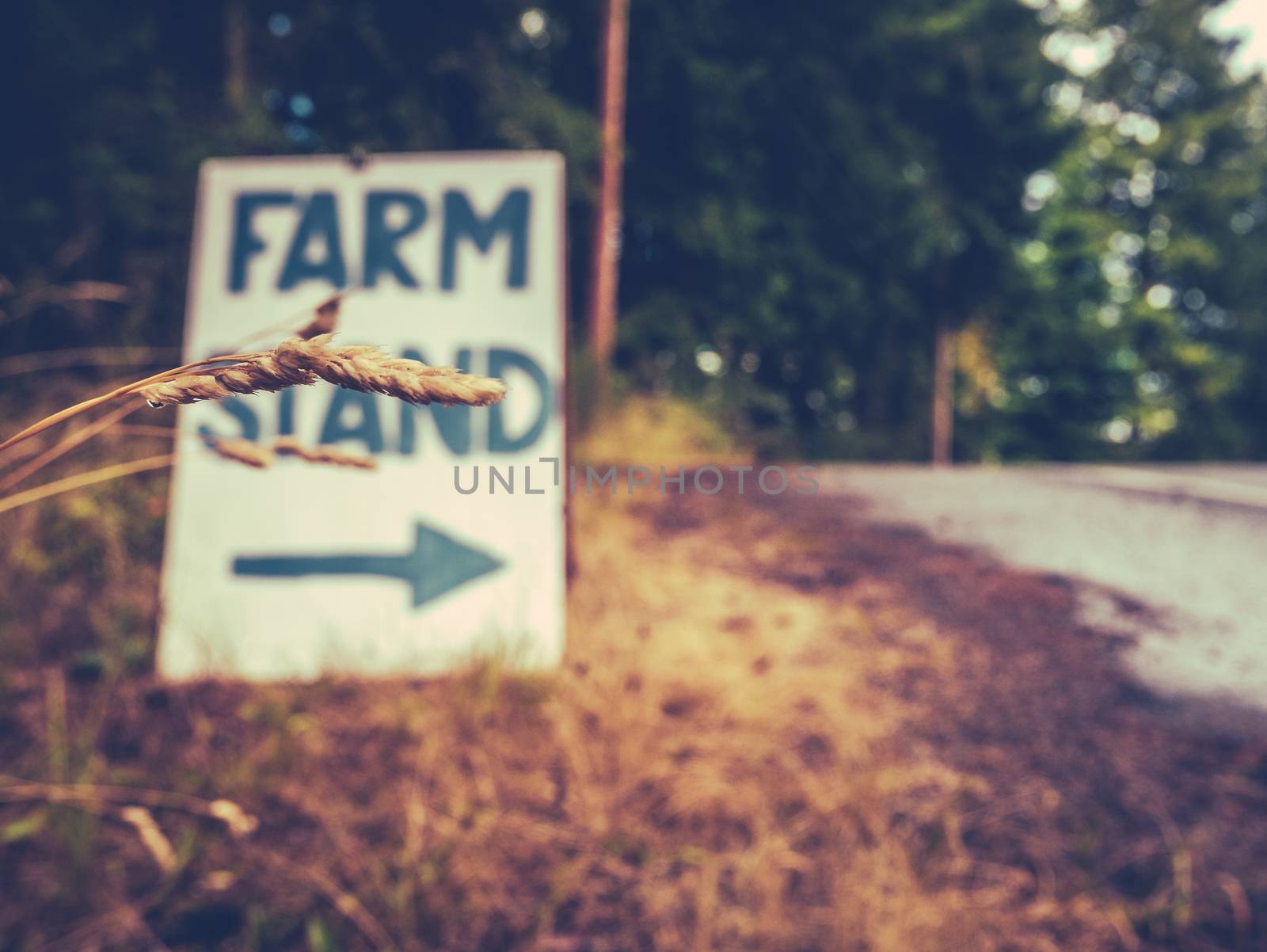 Rustic Sign For A Farm Stand By The Roadside