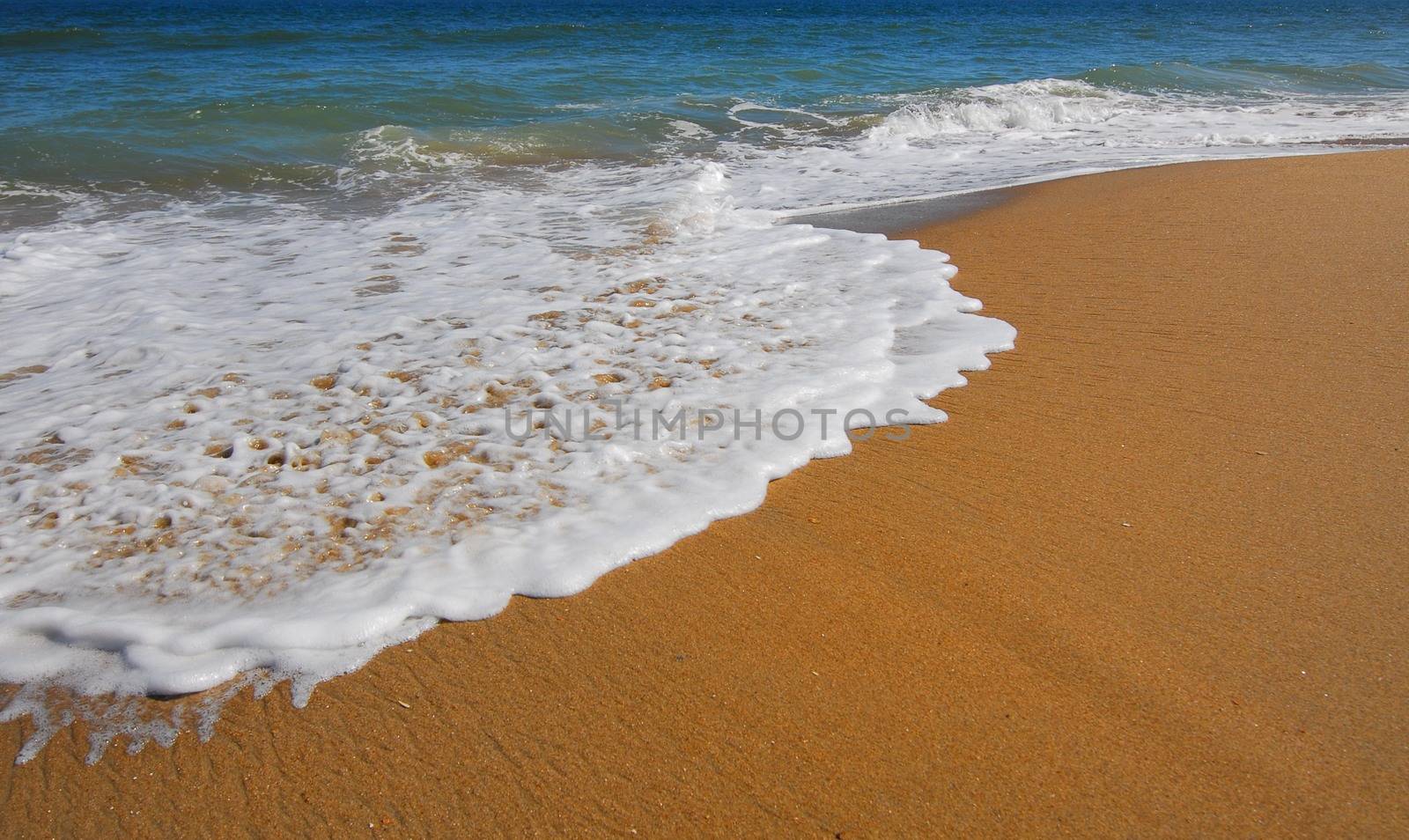 Virginia Sea Beach by nikonite