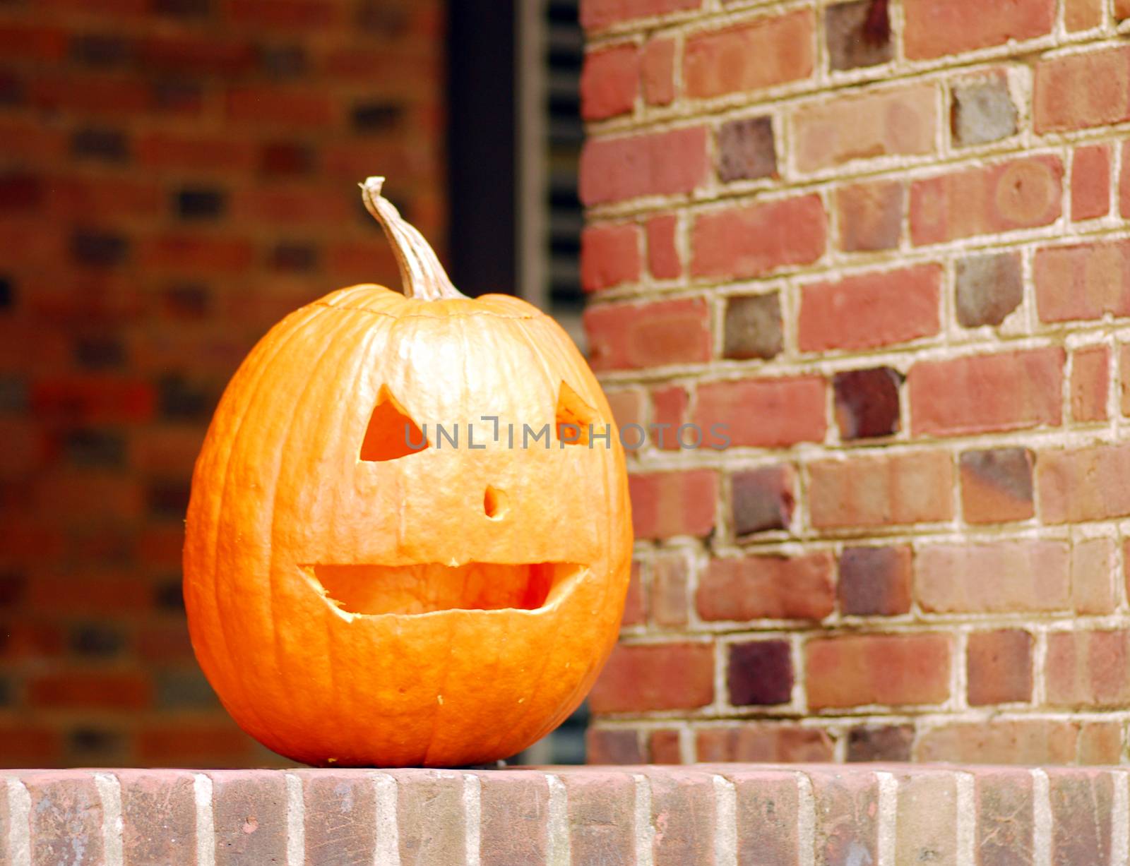 halloween pumpkin decoration by nikonite