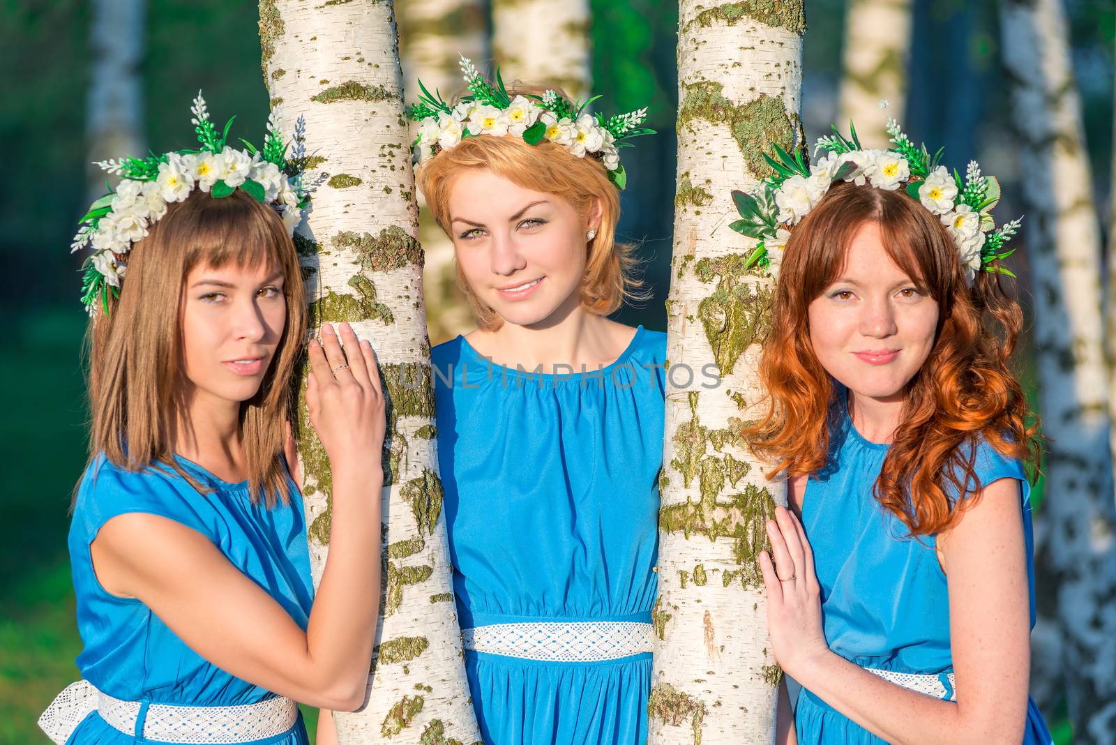 Three beautiful girlfriends about birch trees on a summer evenin by kosmsos111