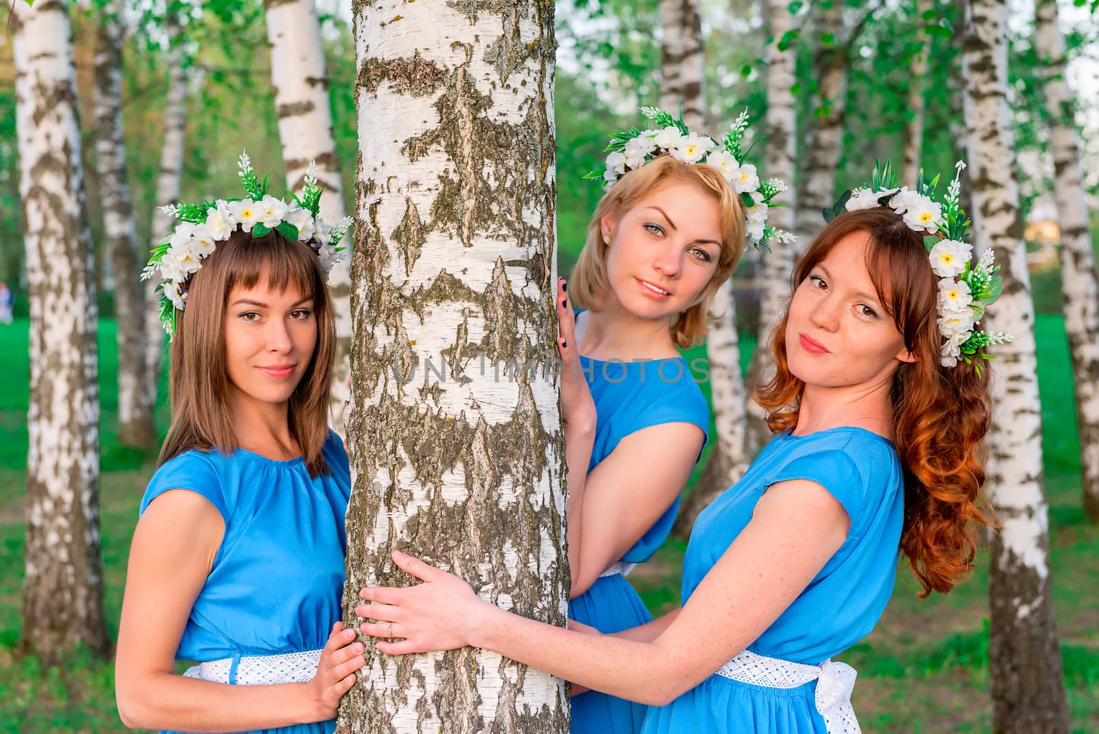 Three girlfriends look out from of the trunk of a birch