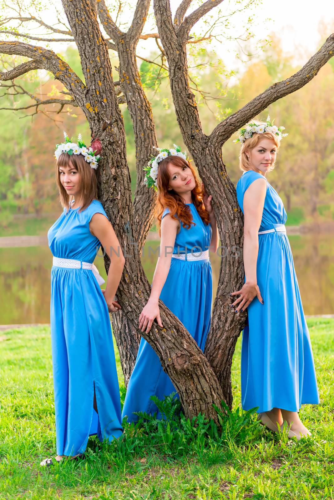 Girls around a tree near the lake on a summer evening by kosmsos111