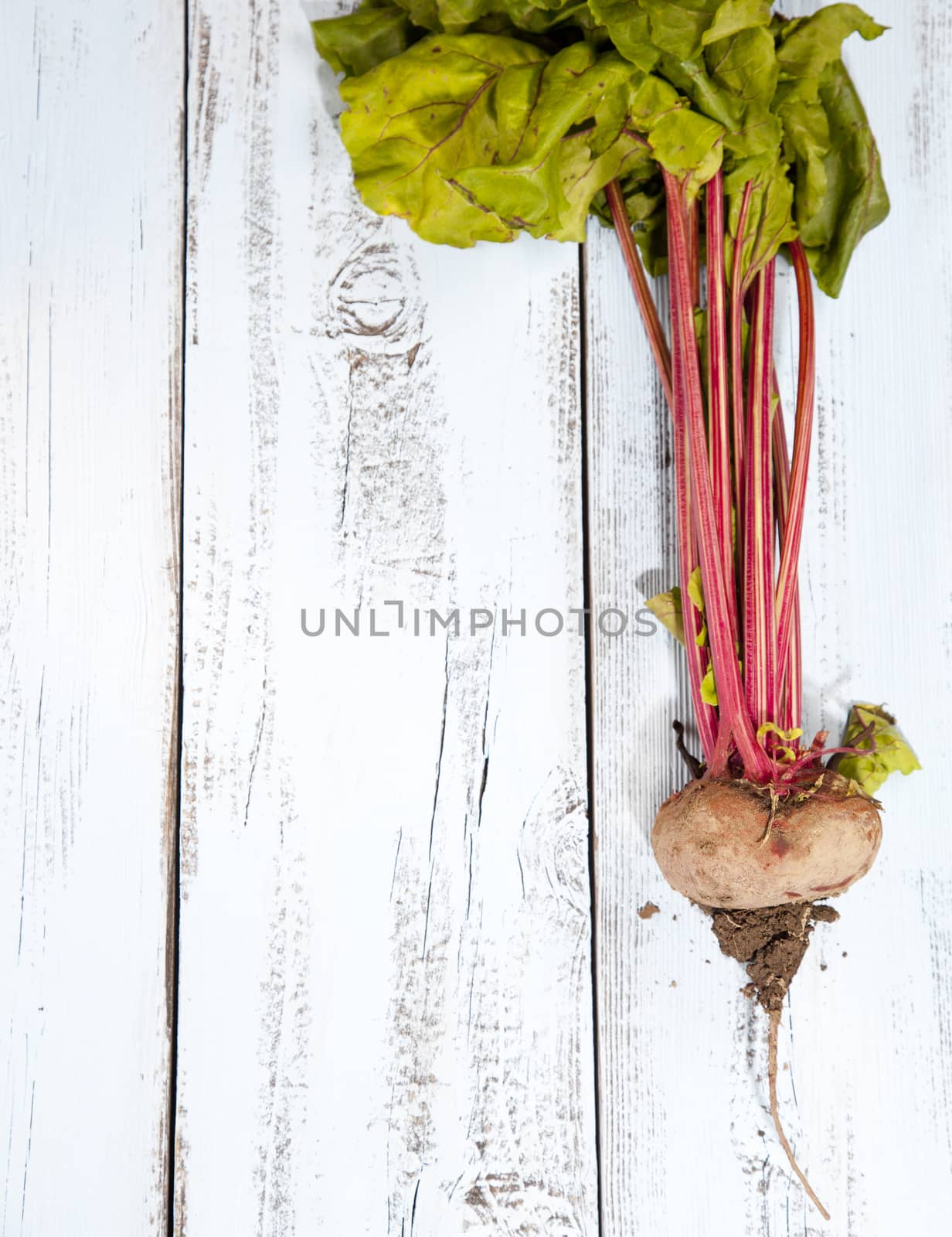 Beet with leaves on white blue wooden background by gigra