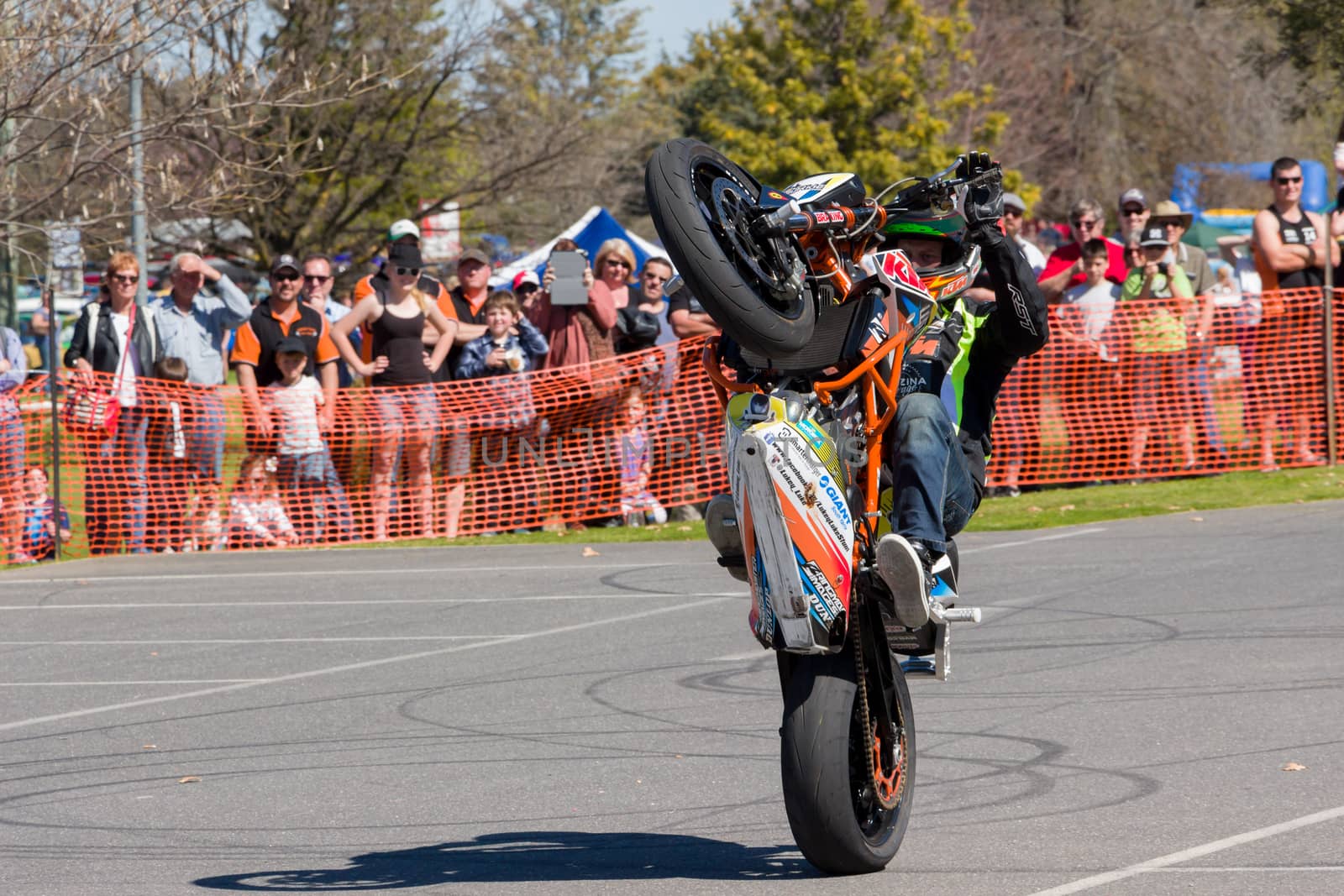 Motorcycle Stunt Rider - Wheelie by davidhewison