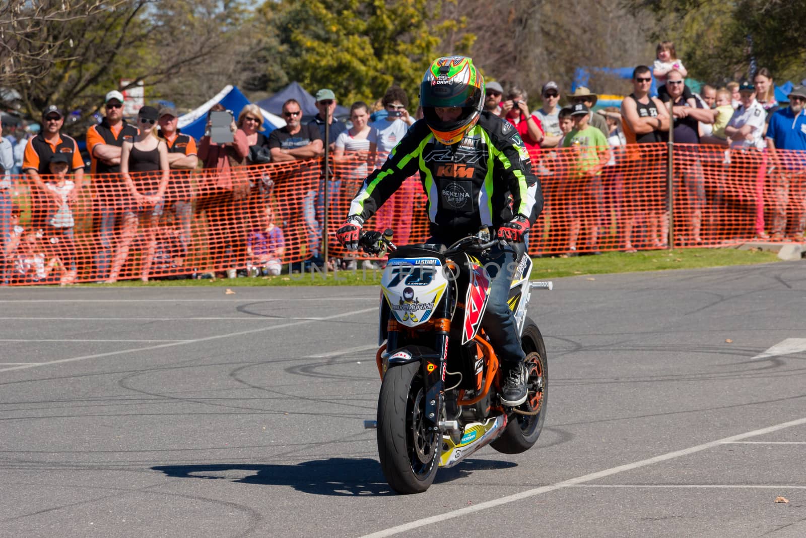 Motorcycle Stunt Rider - Wheelie by davidhewison