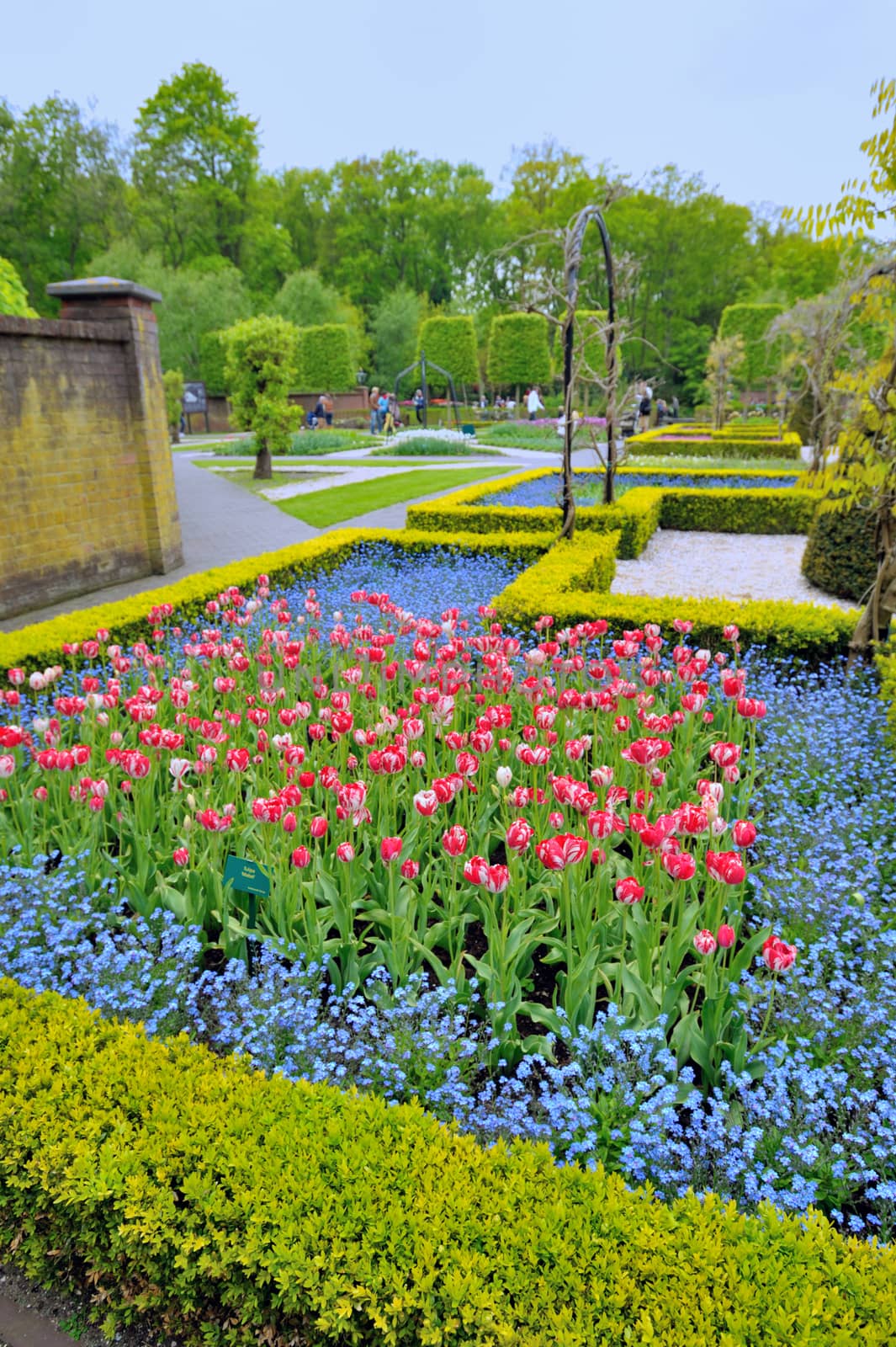 Garden in Keukenhof, tulip flowers and trees on background