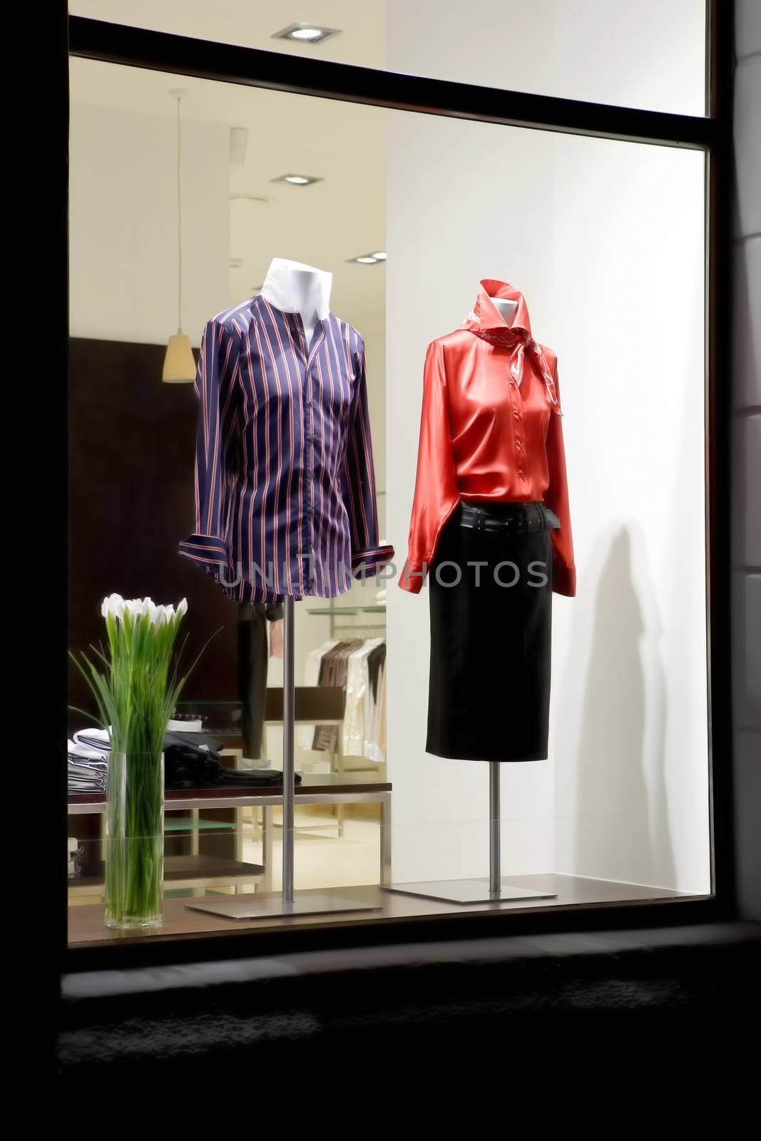 showcase (window) of modern fashion strore 
