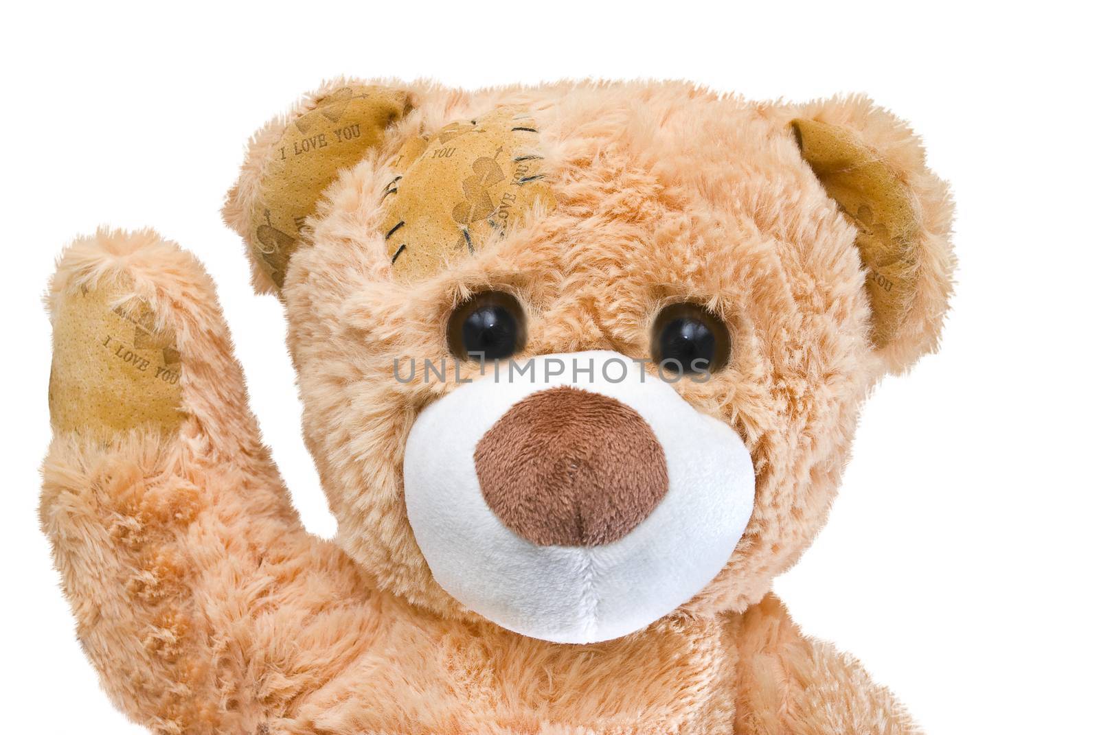 friendly good cream teddy bear with big eyes