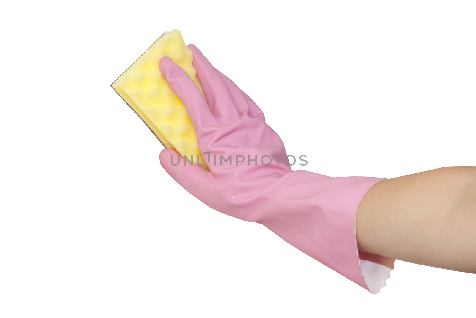 hands in pink gloves wash  white plate by alexandervedmed