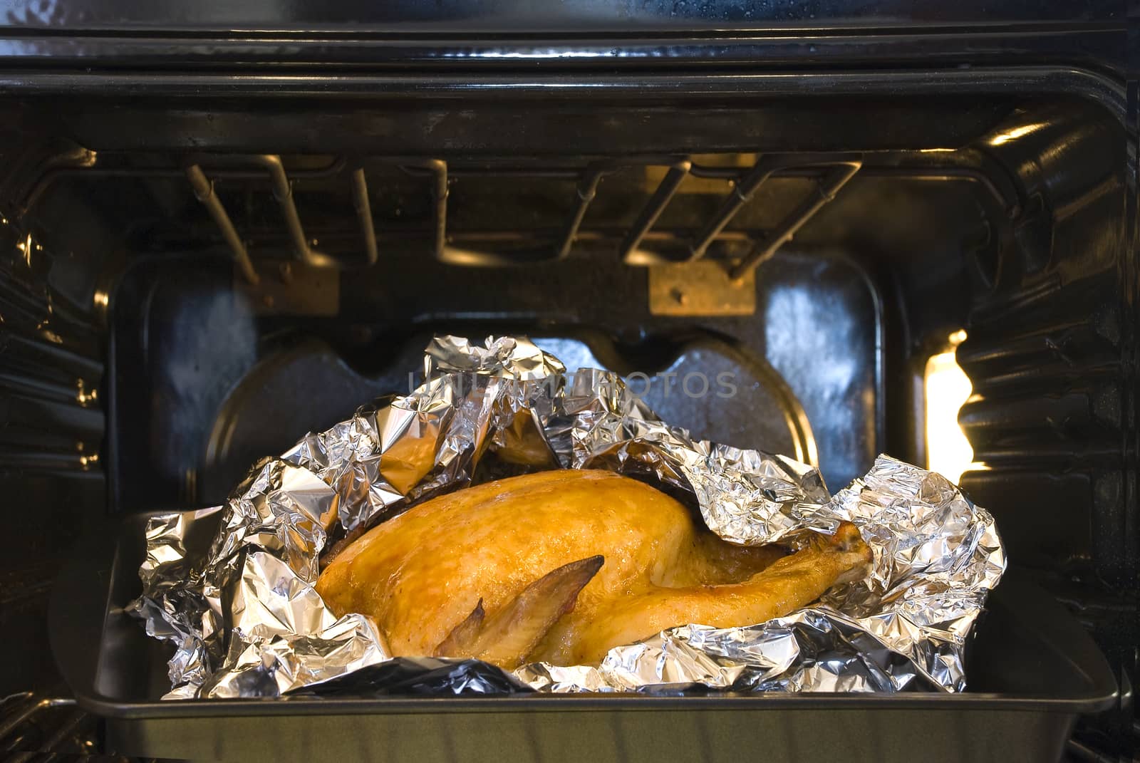 juicy golden chicken in oven  by alexandervedmed