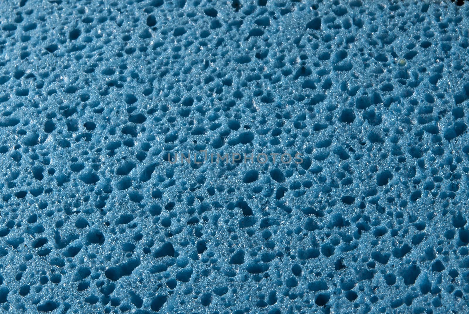 macro blue sponge by alexandervedmed