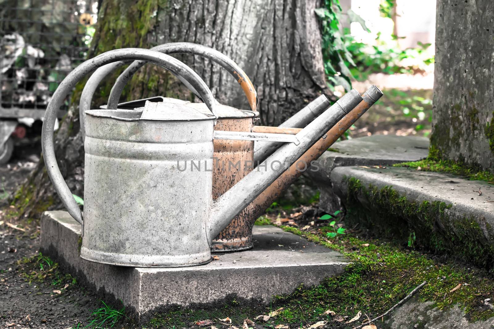 old watering can  by motorolka