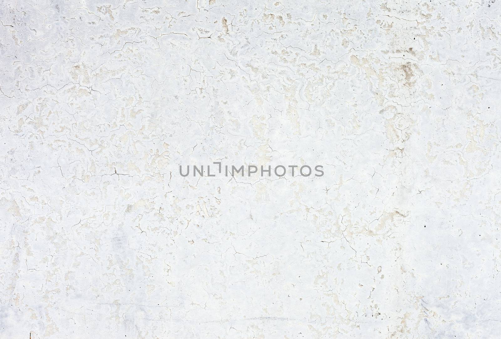 Grunge white background Cement old texture wall