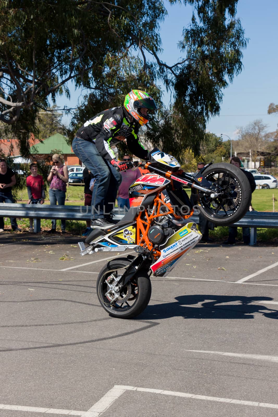 Motorcycle Stunt Rider - Wheelie by davidhewison