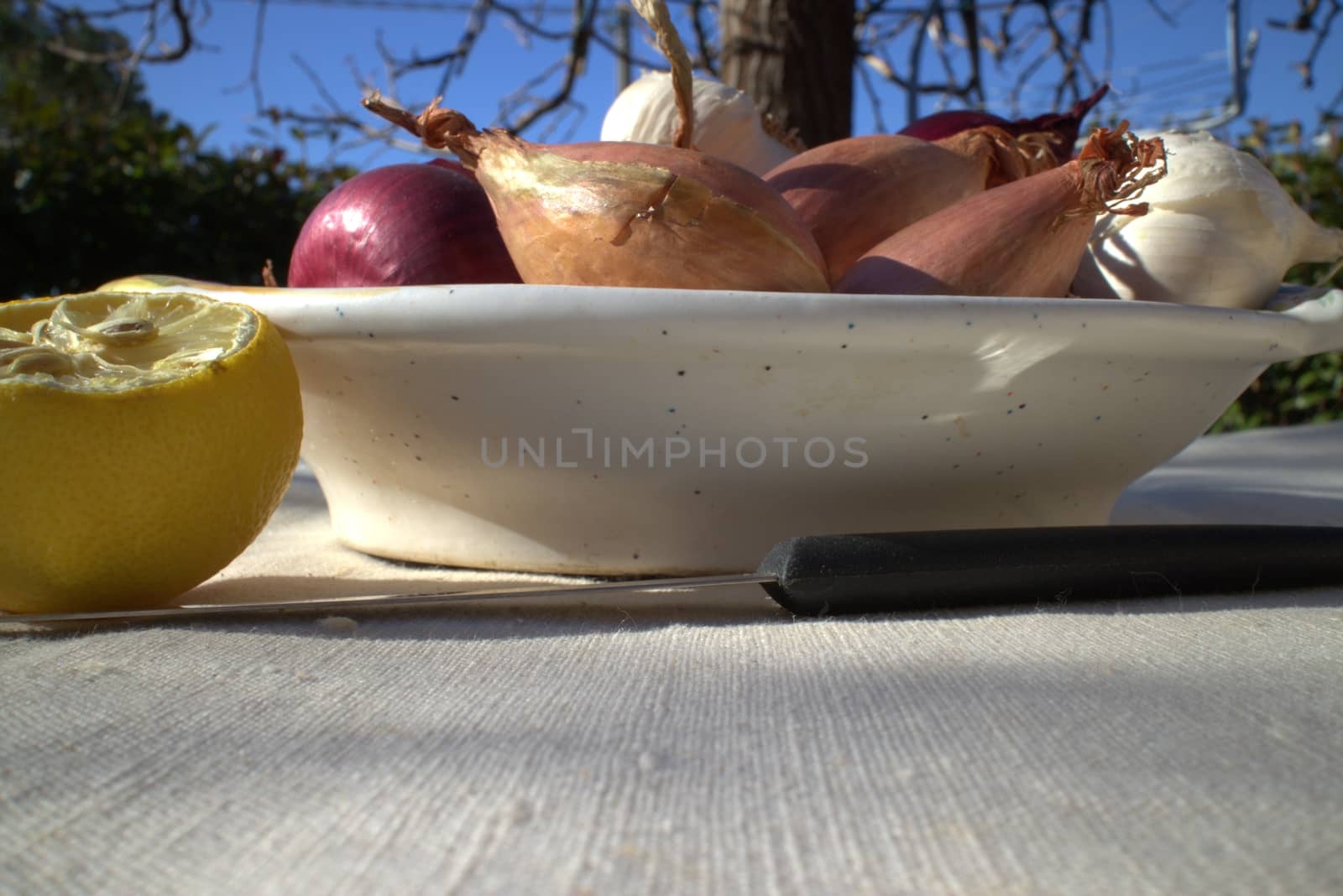 Onions on a table outdoor in a garden in summer time