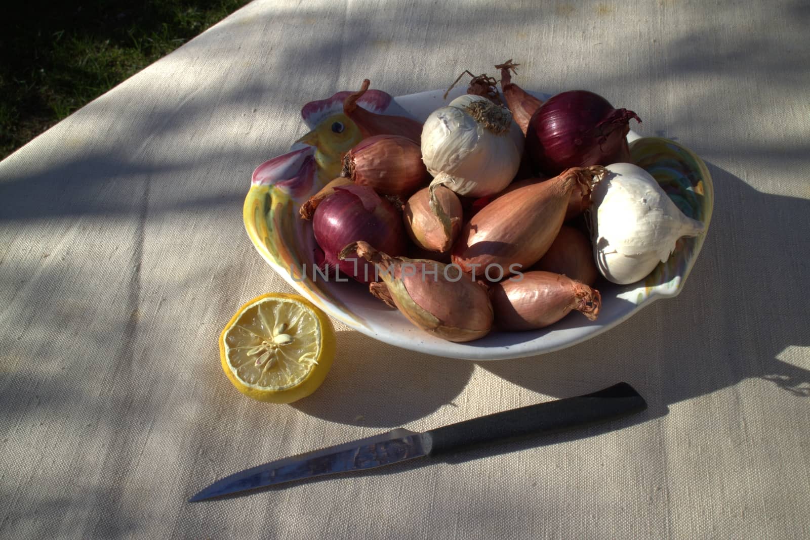 Onions on a table outdoor in a garden in summer time