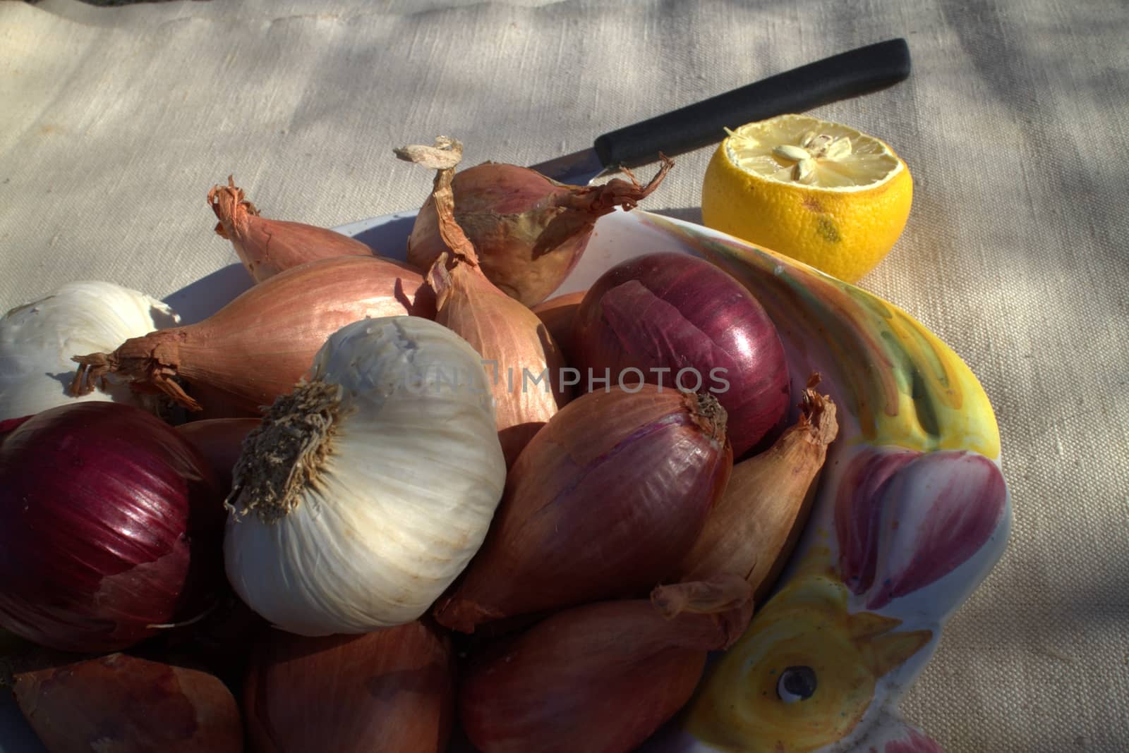 Onions by tozzimr